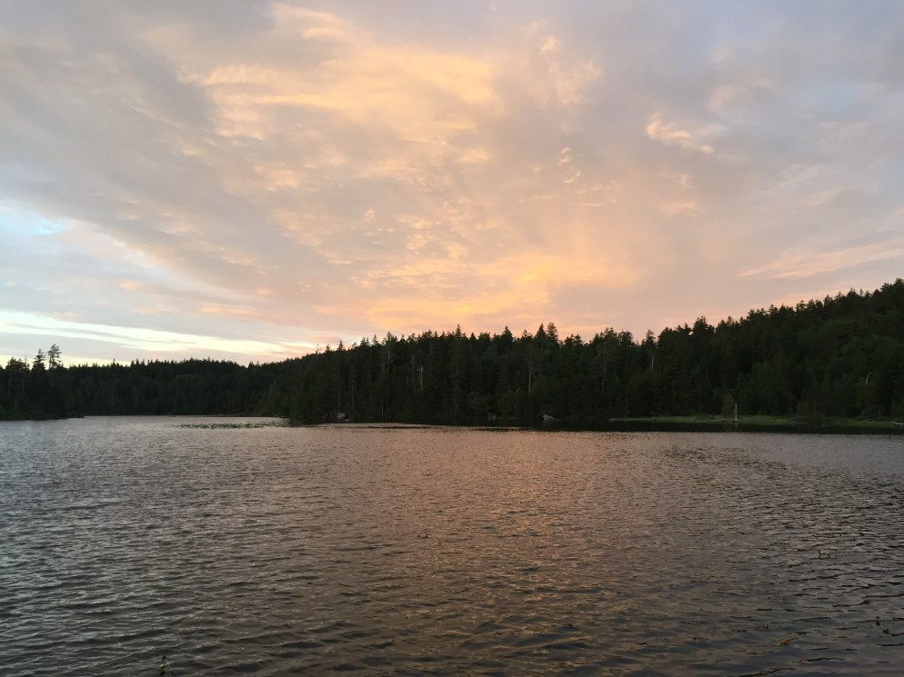 01de268be9f457e64865f71864756dc6fd0bb5606b