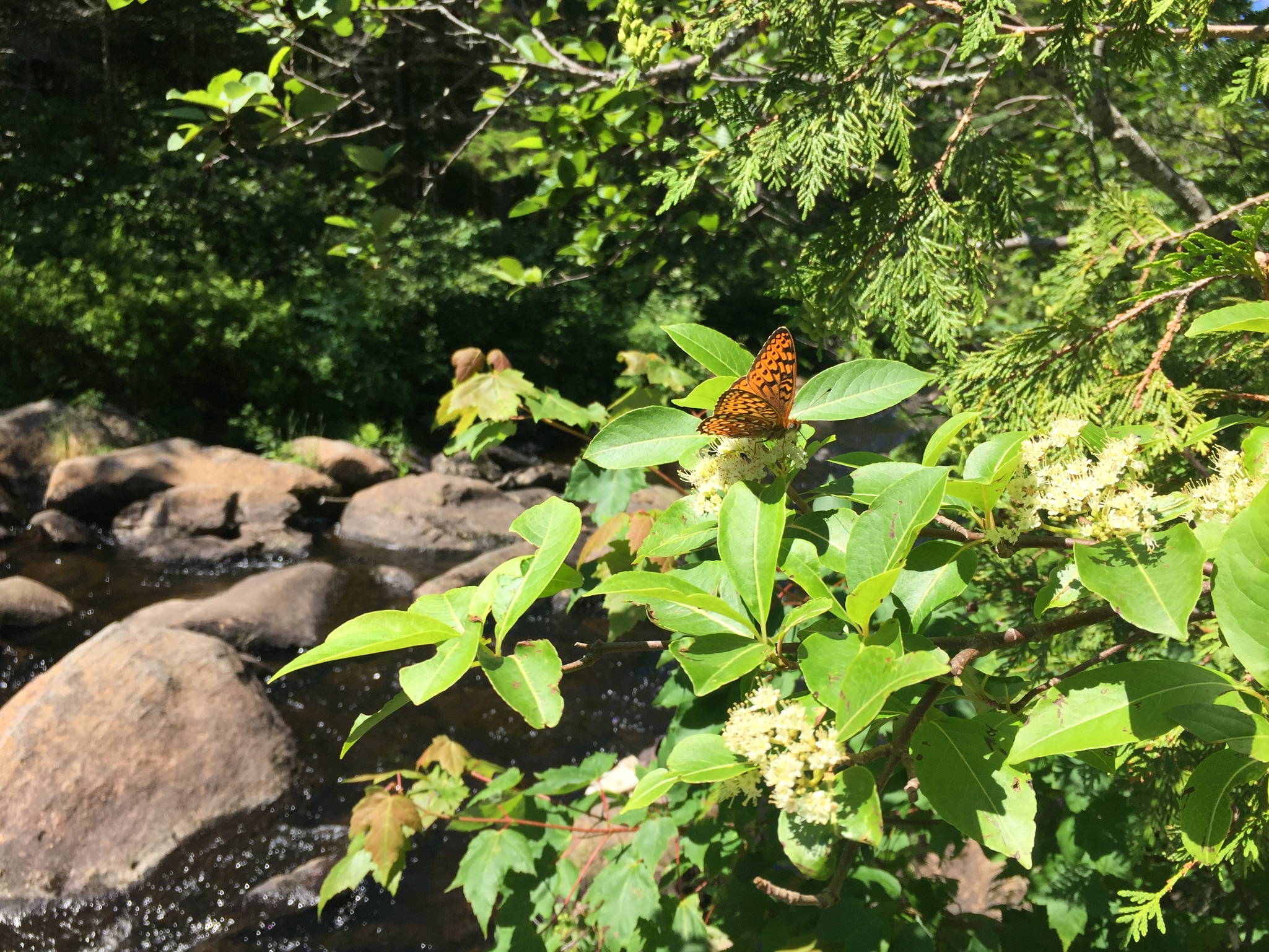 0184a0cfc427ace084bff49a1772d5432e6e352f82