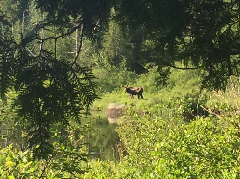 018d5396ed789303785ab3a048aa6a0f5a3bd86db6