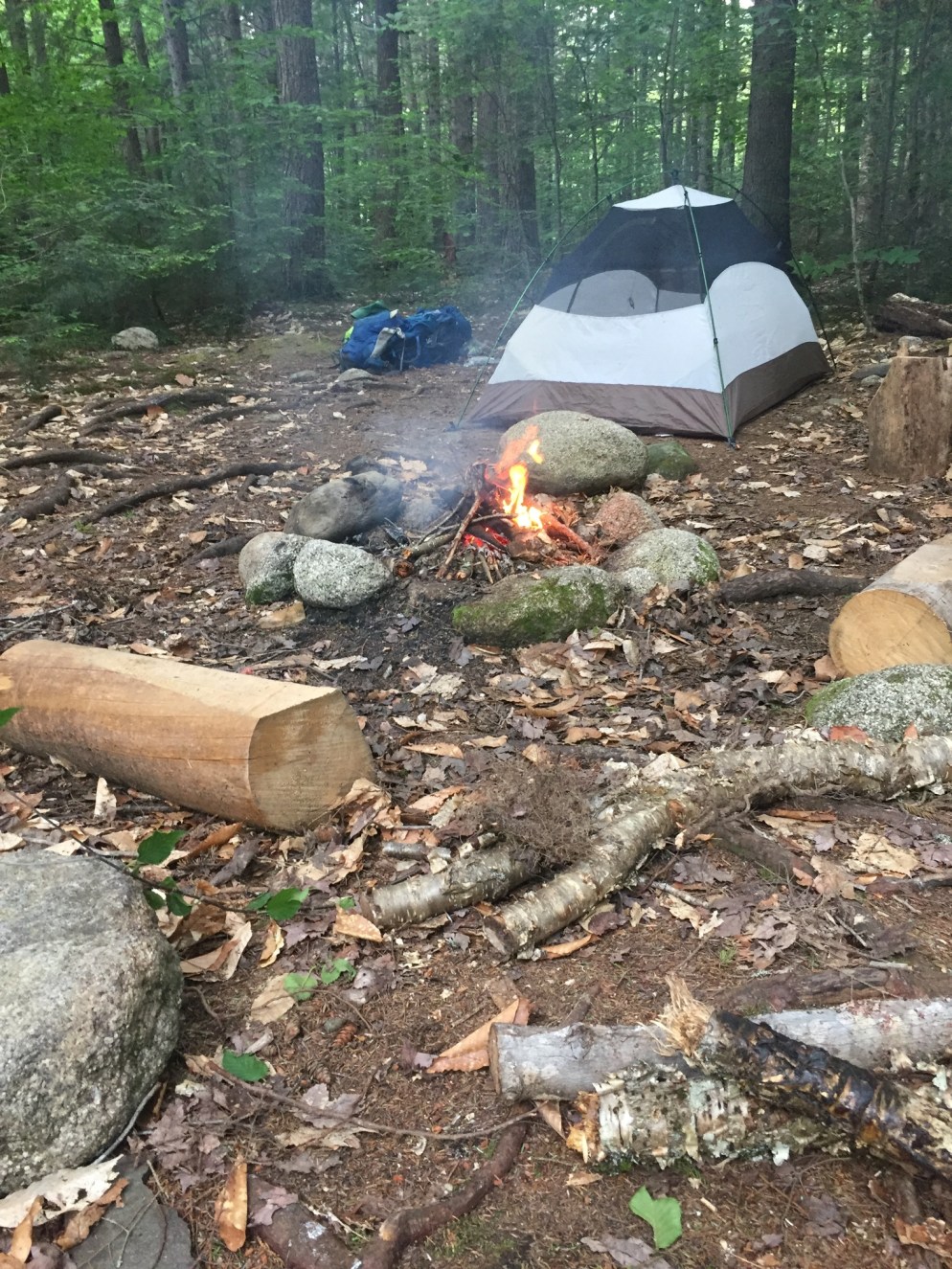 018f7213501f0bc99cc3ceb79d9ccef784b041dbbe