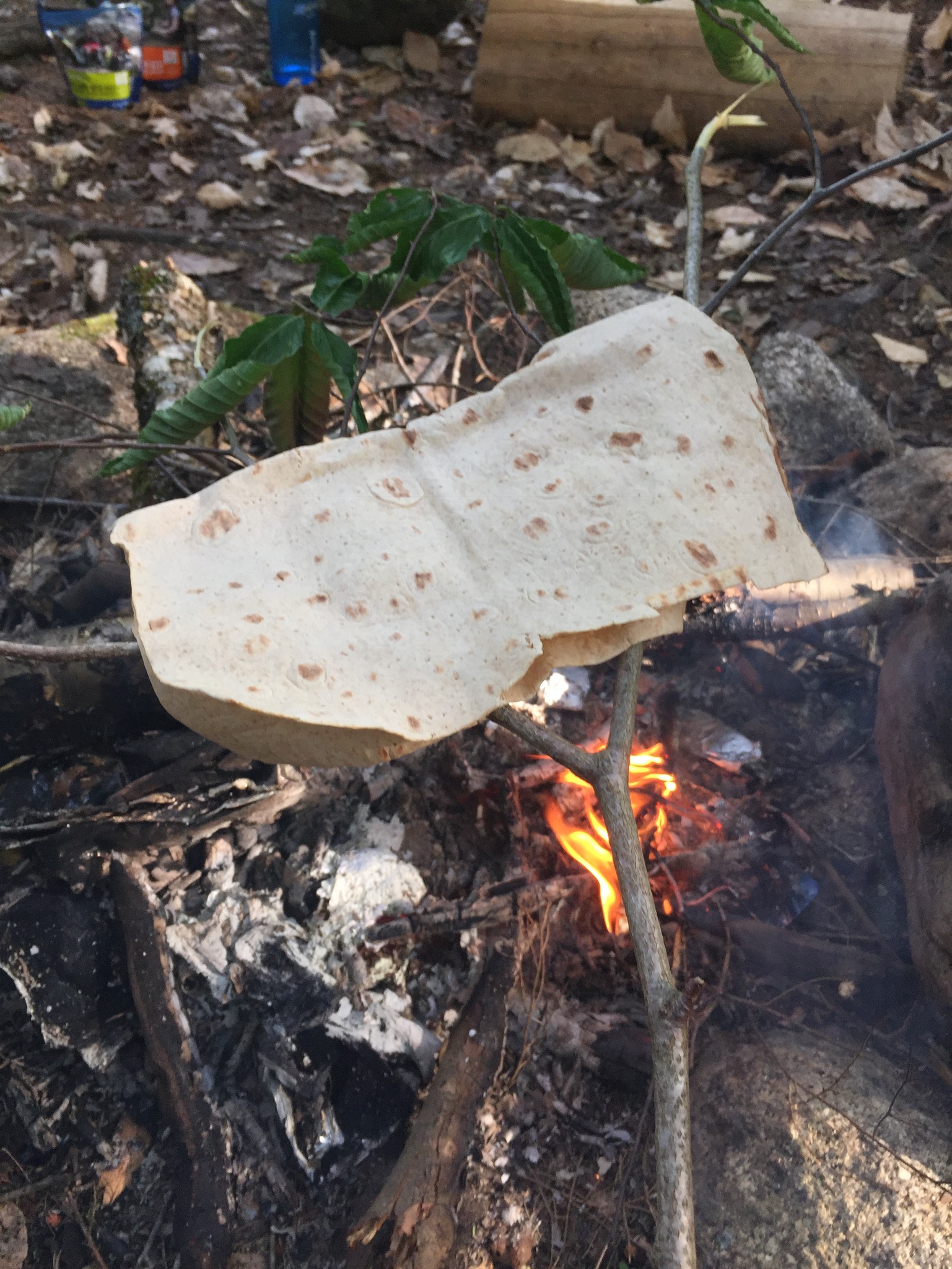 0196127ee9a5e03f7f881d17b2df404a95dd4763c6