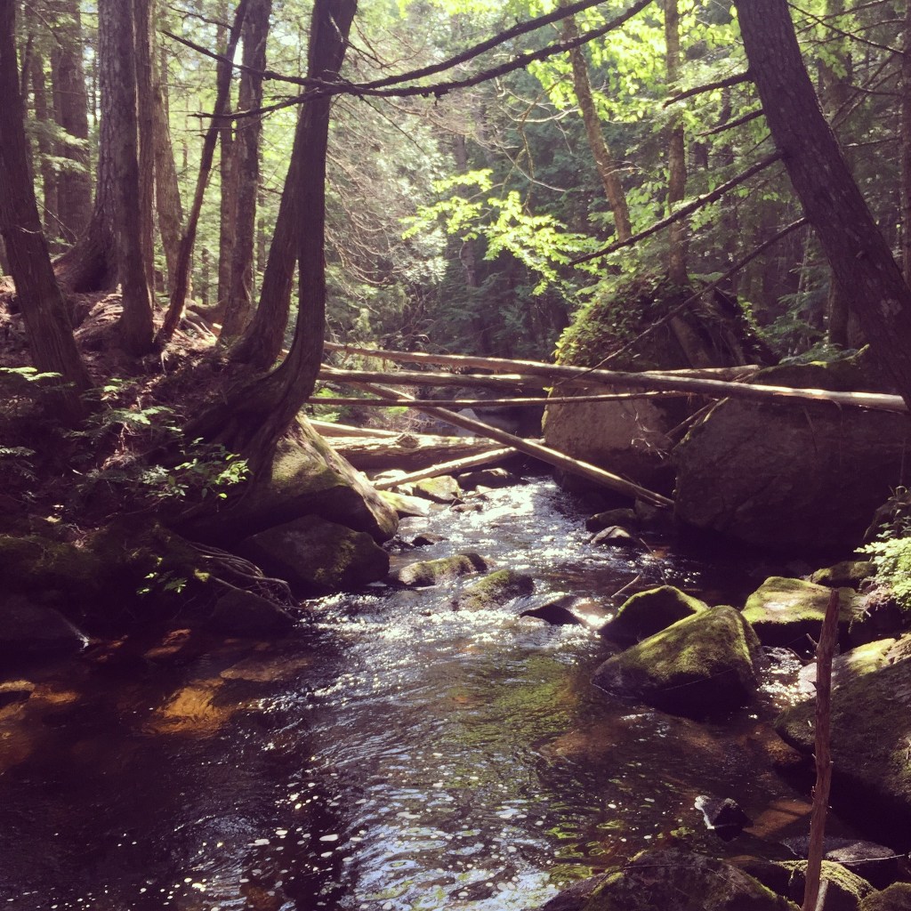 Afternoon light on the way to Nahmakanta Stream campsite, 100 Mile Wilderness Day 7