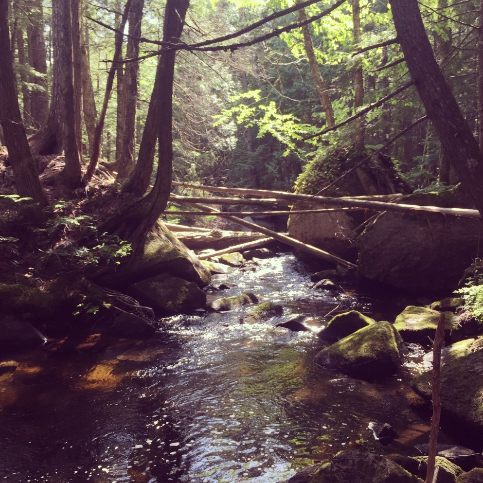 01ebc12afd2ba0980a58c40c49ec4b62d6283e47fa