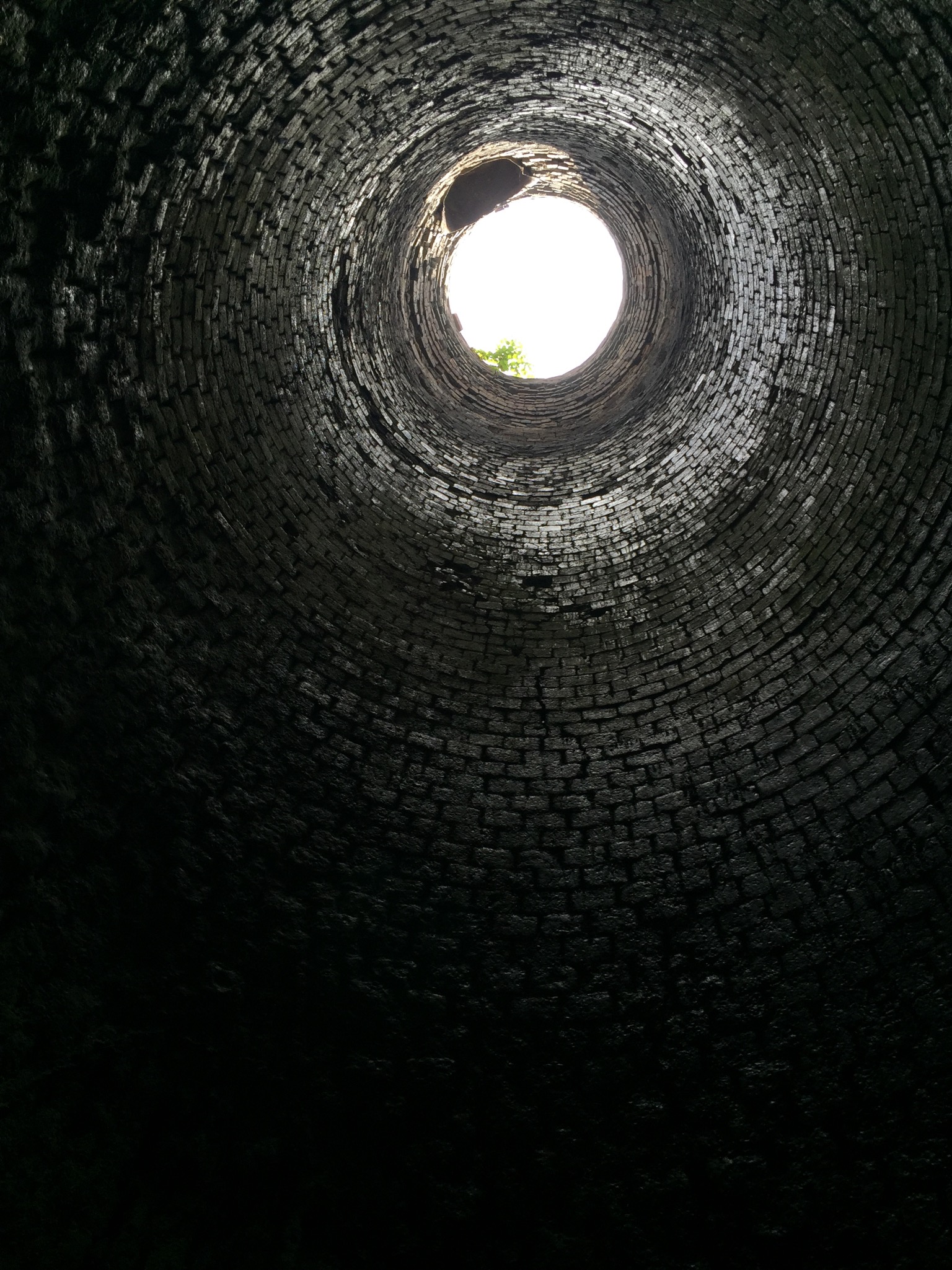 01ef54b5afd5585feb793081f43f4db01d566337c8