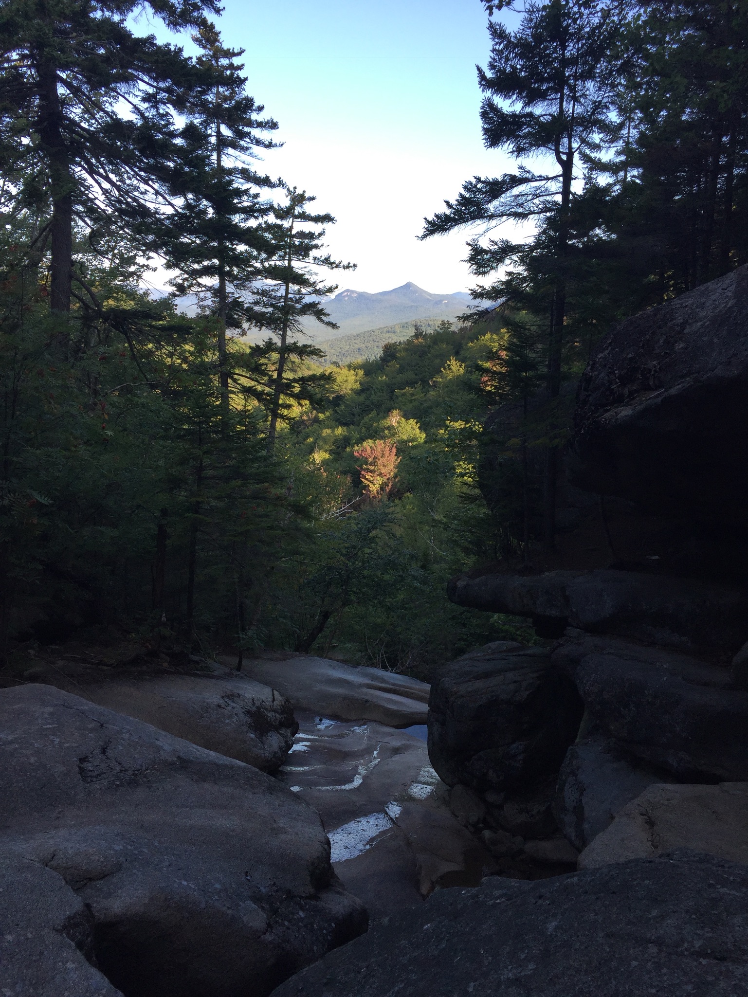 0196c946aa227721ea76908cd2062924657a6c5887