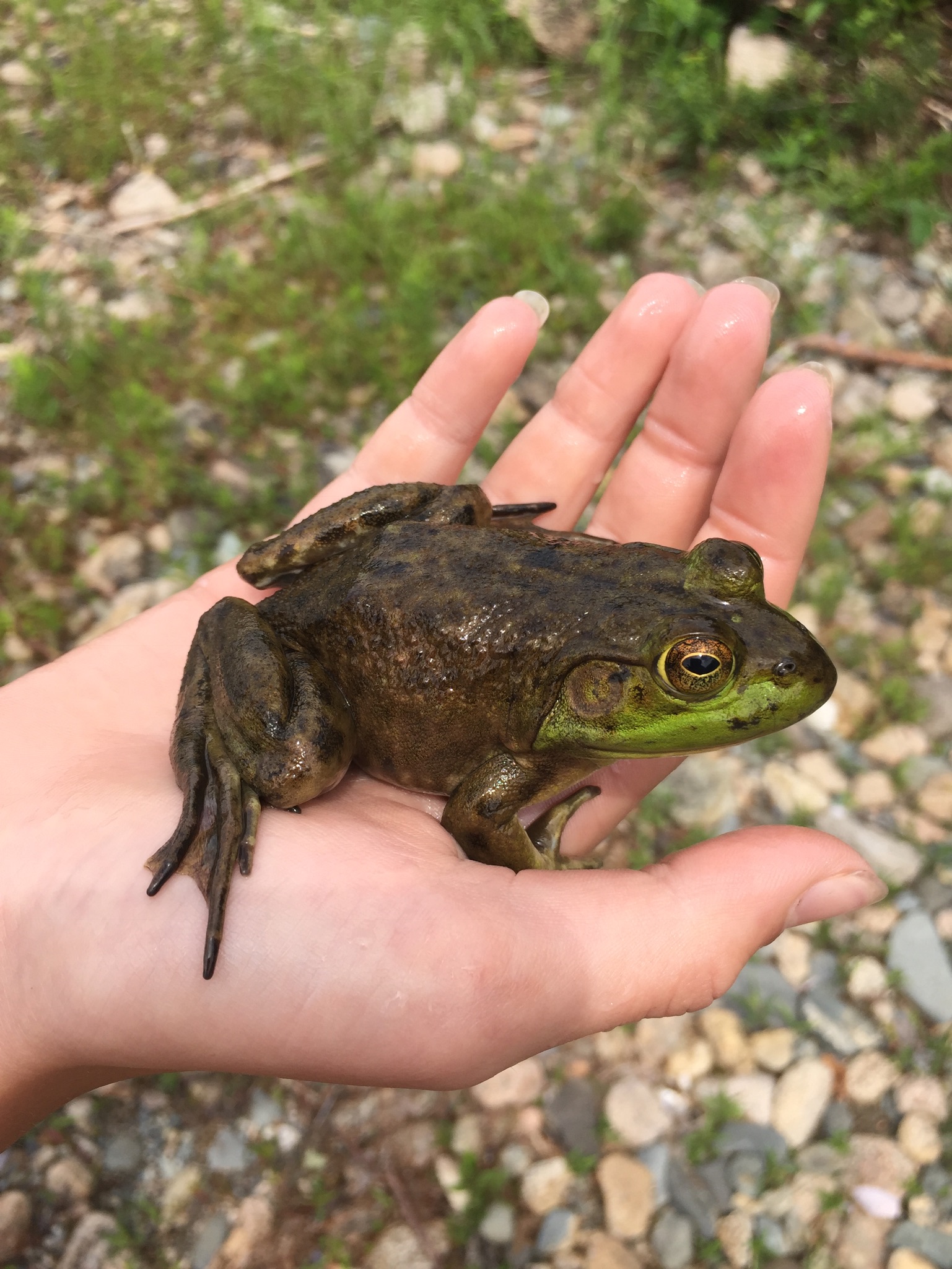 019e58d45ddd58af25bdd2ca20e7ecd0beaa861d67