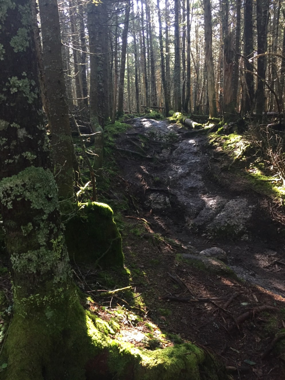 01d1effb9e33eb0b6b1f98dad30b3ec26f78bbd386