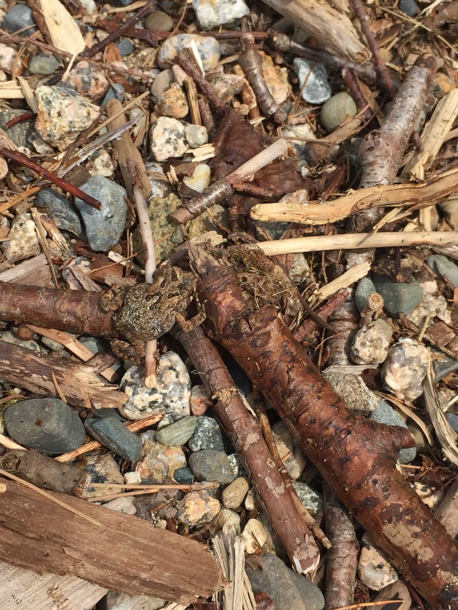 01fa8ae2507c6d8b6232945df783c085e80db3e072