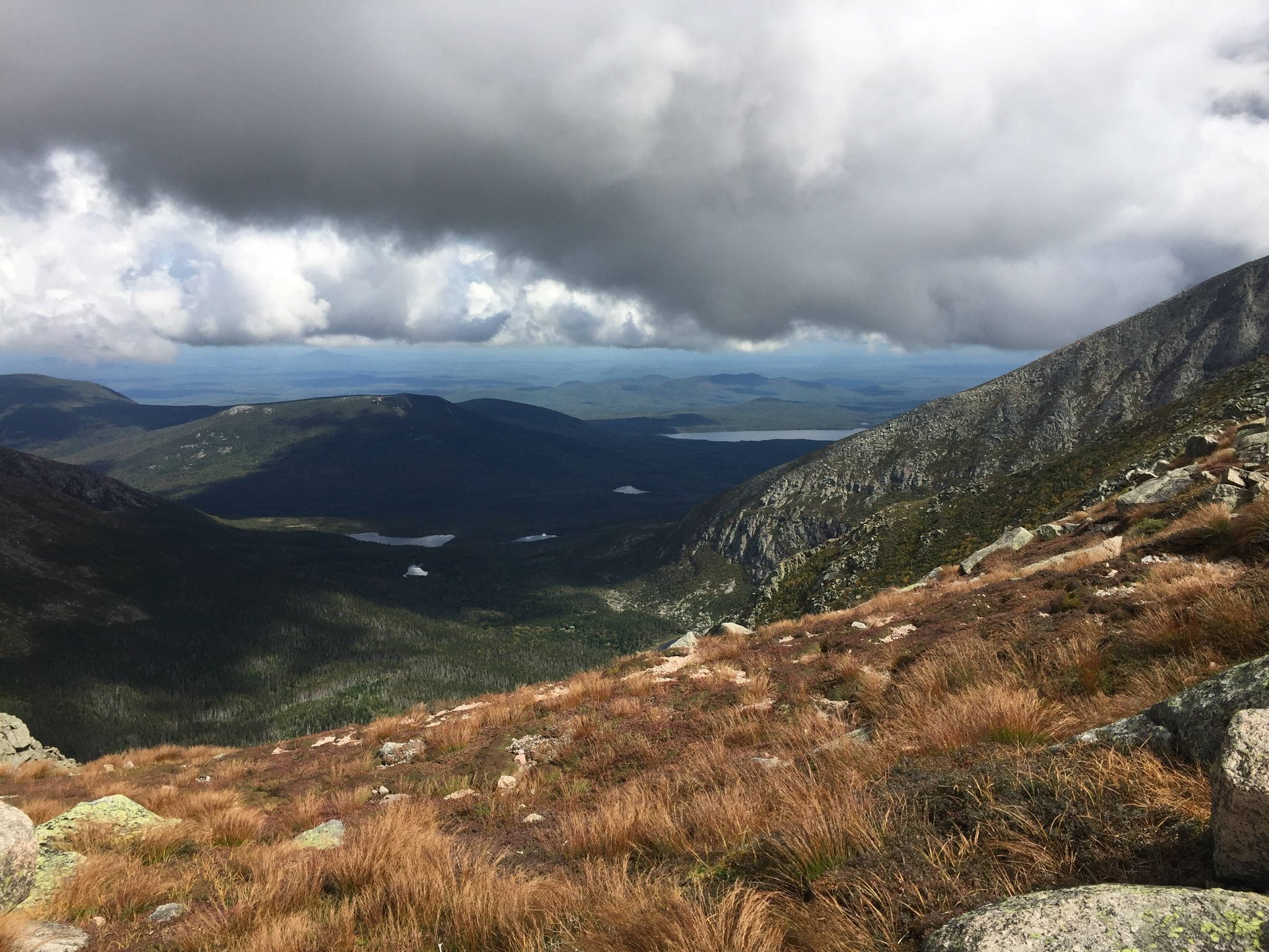 01b0d2e588aa8bf383a096ae560a27117ae4e90ca1