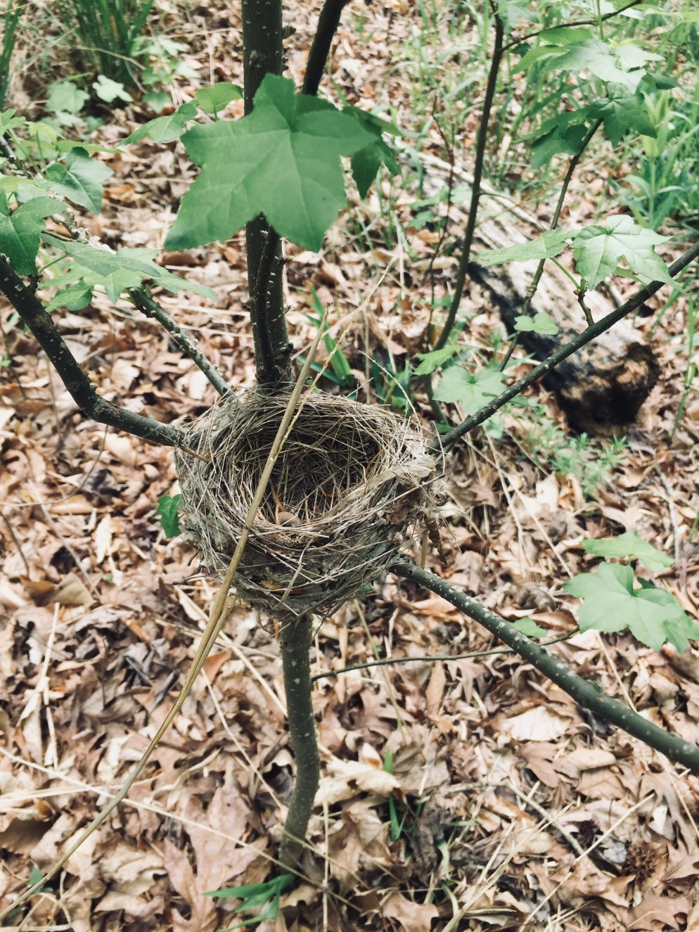 011c841b1cd8dd378d645ceb183f69e0b5a50a78d5