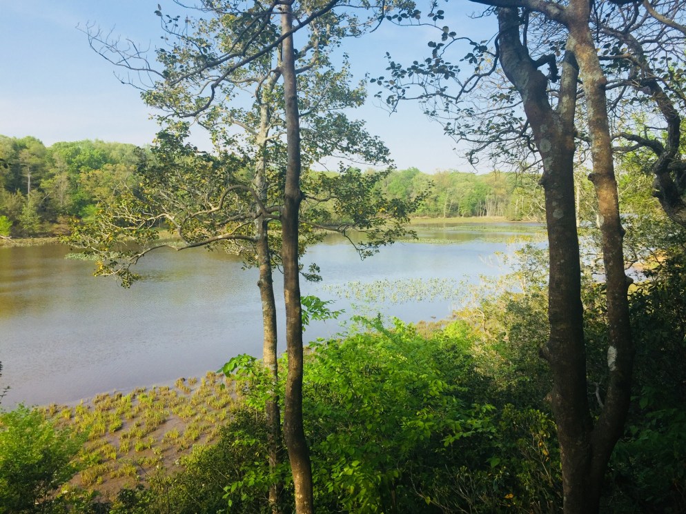 012ca8ce4f792c7dff9b768fb42de585ed8b4cc427