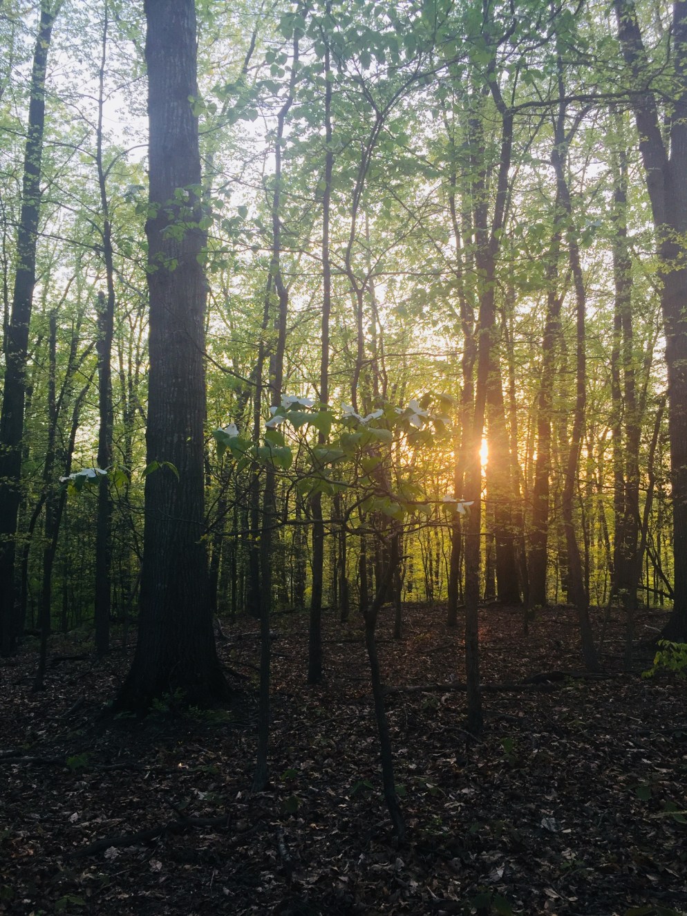 0132a8ef0d7baa2650f19ed8ad0fa6cb1d8b9ee2b7