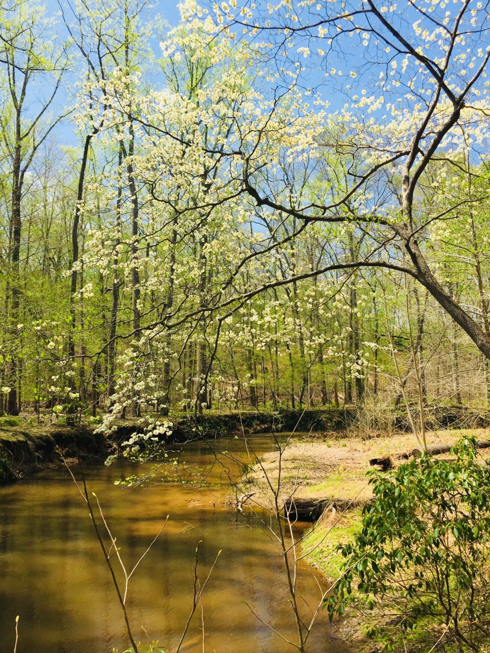 0197740016b3ab38e0f3fd0c6448c023f1315f0258