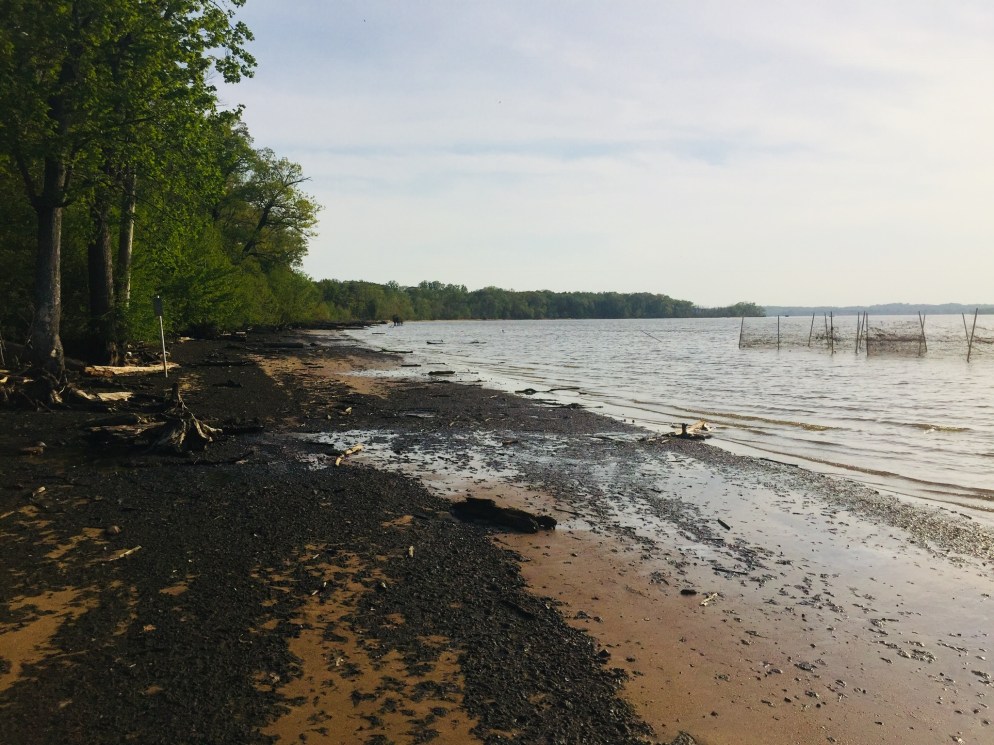 0198a108603d1dc208c7ac311684cc741c8eba4683