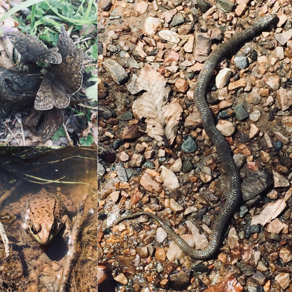 01da22176e9989a08aaef1ed0d2f35890a2c800193