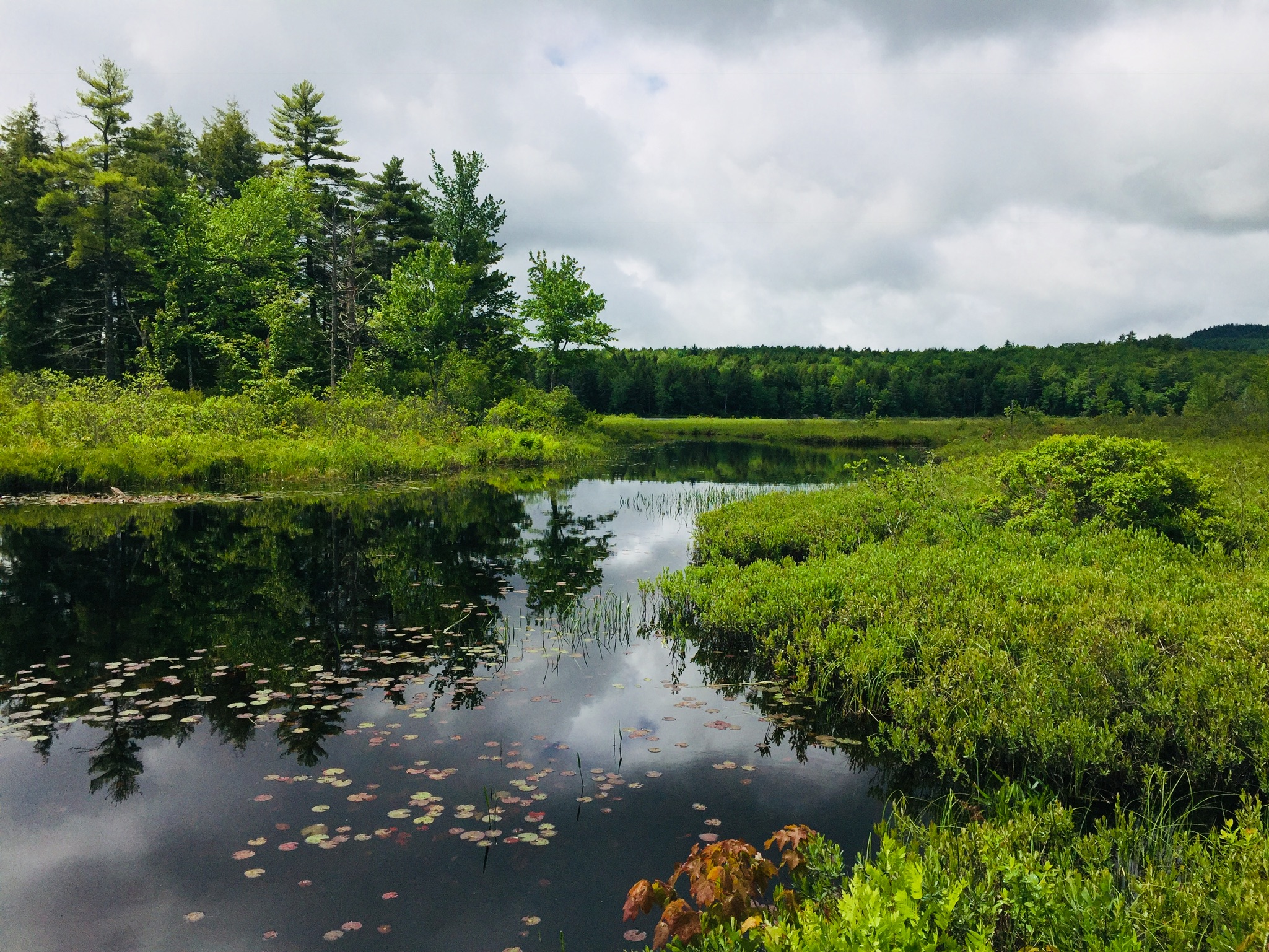 01126a70c7d000d416b3fcb5f3c77894eb836f220b