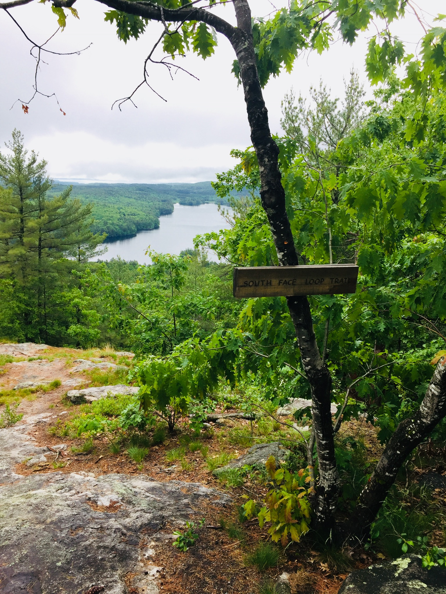View from the South Face Loop toward Peabody Pond