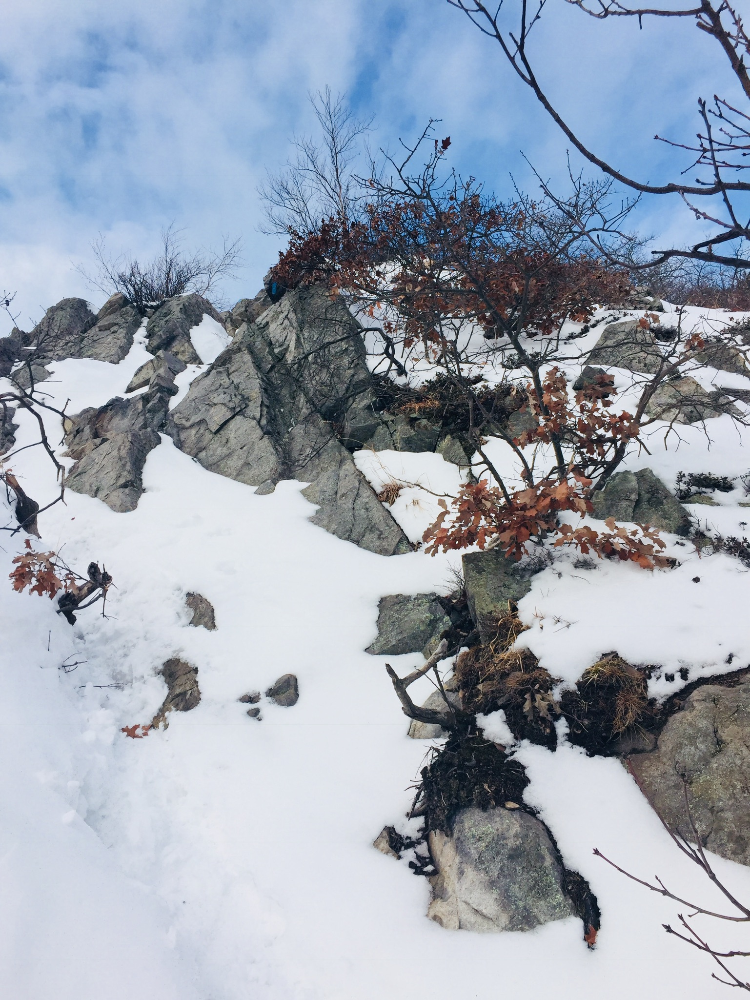 Winter ascent up to the North Peak, Burnt Meadow Mountain