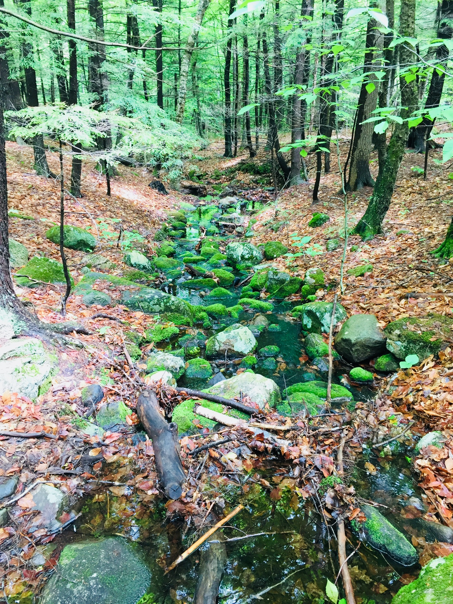 013343dc41b0f27607365927d0a68563fa1a67dd4b