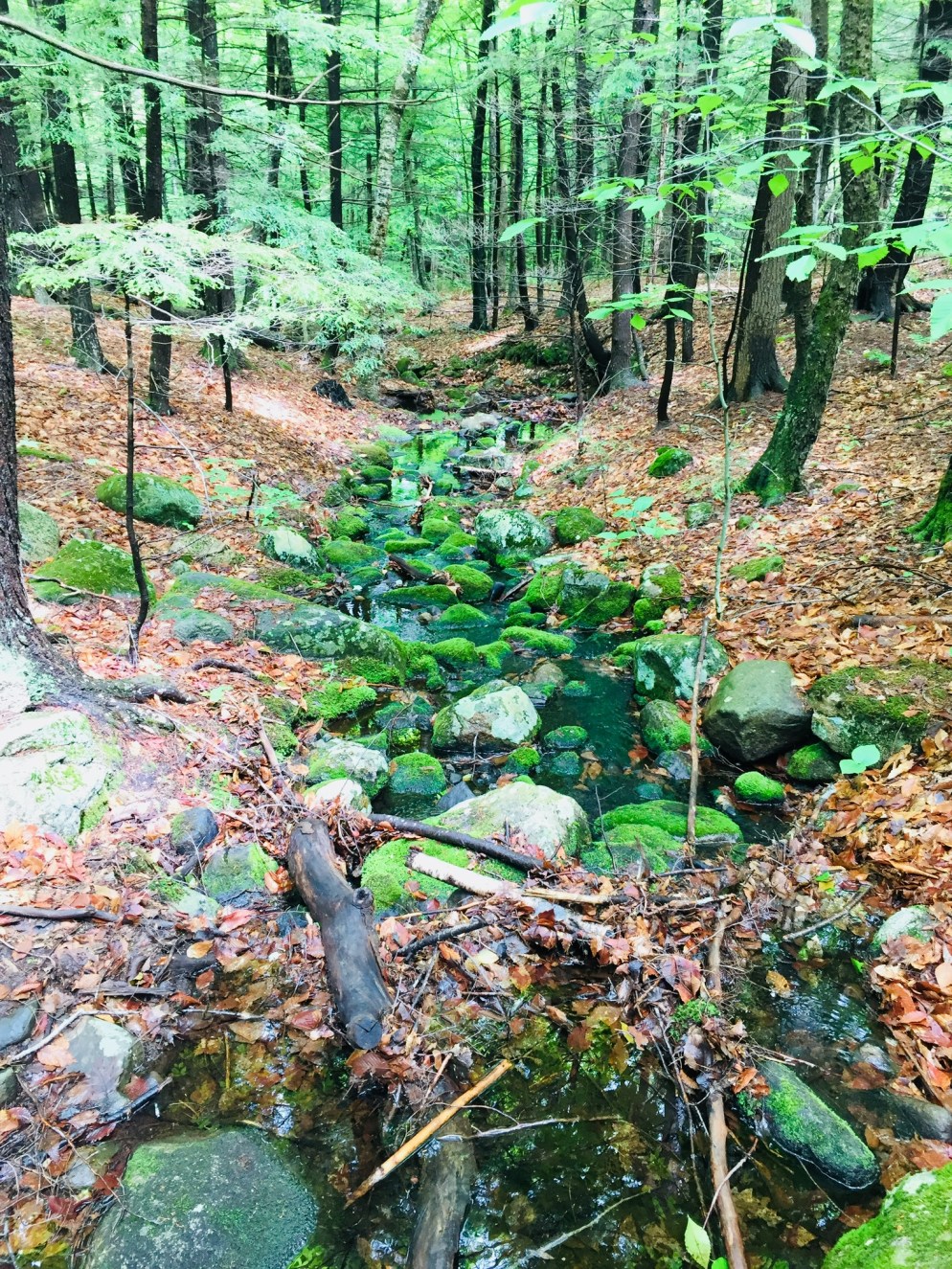 013343dc41b0f27607365927d0a68563fa1a67dd4b