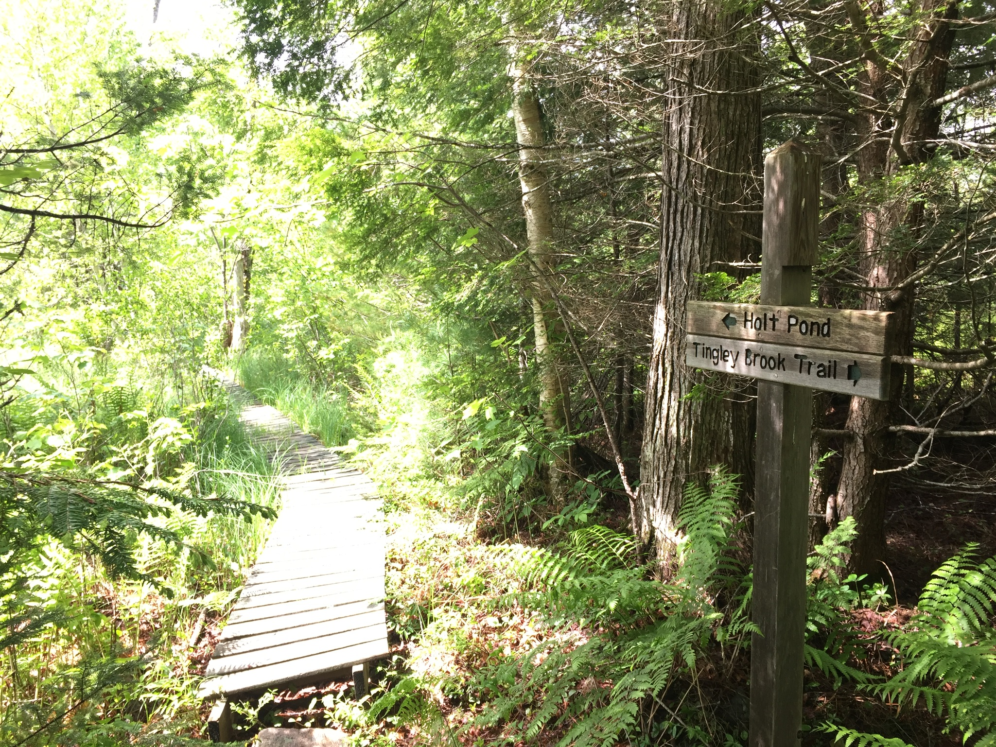 0139fae195aab23b10cf1a713859803ec9d827a8d6