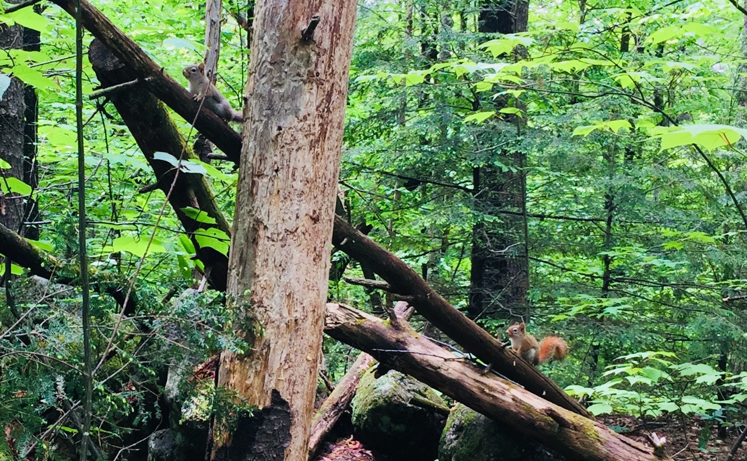 014ed0a9e2cb4e29e6582805bc6efa5e0c9757ac4b