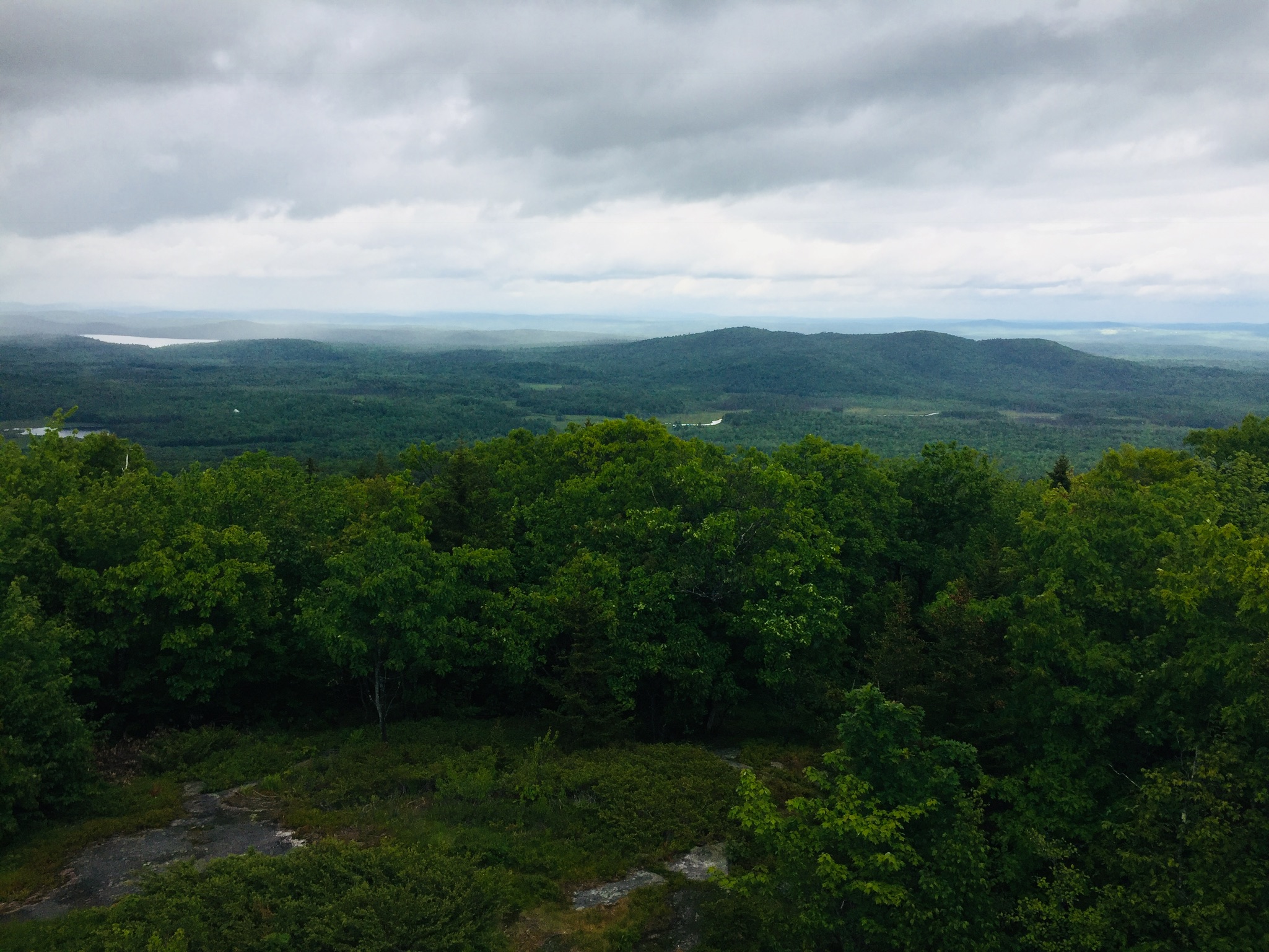 014edff1bcbccafeed461575b700a6380ffb444827