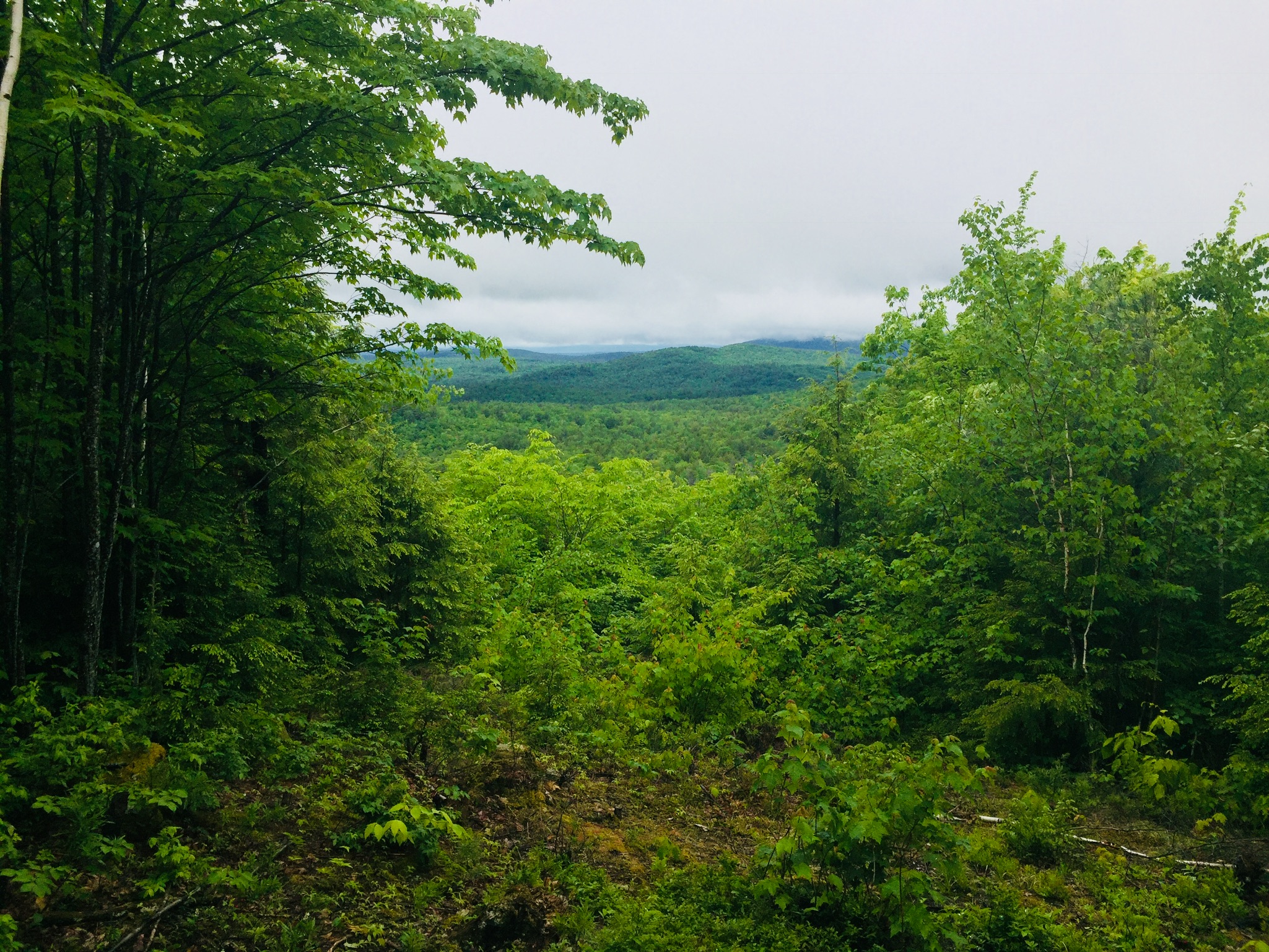 Views west from the Bob Chase Trail
