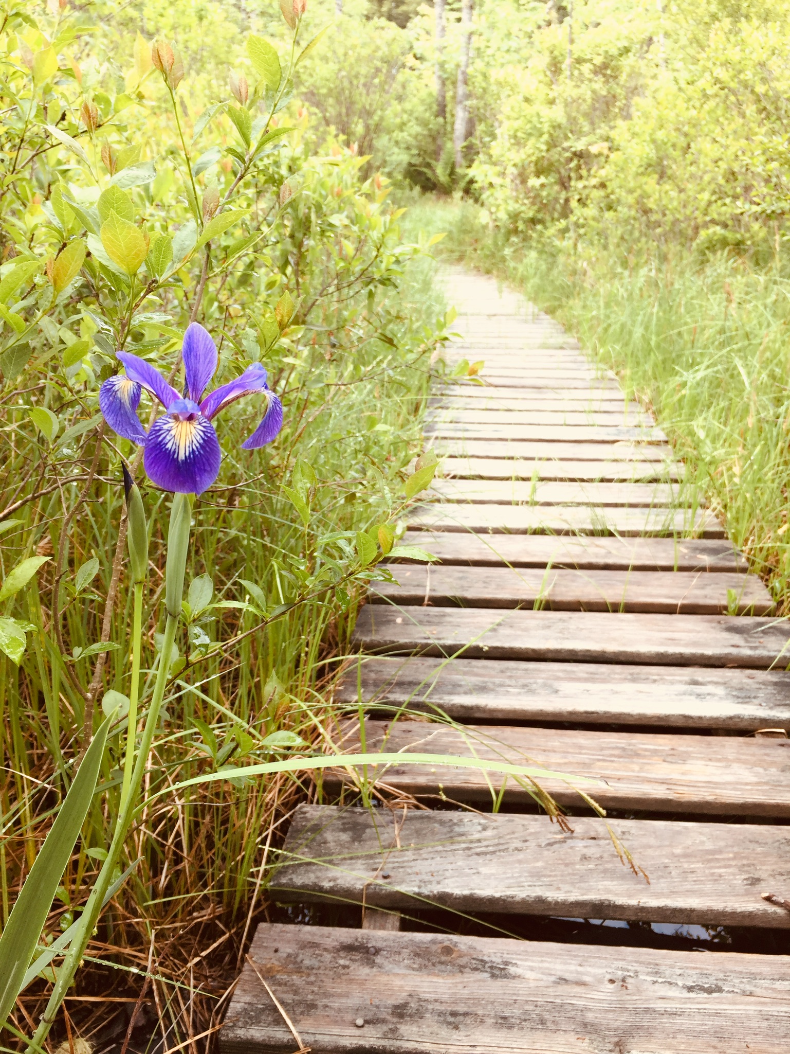 01b7ed9e323741bd7d294051e147b8b540d7f45739