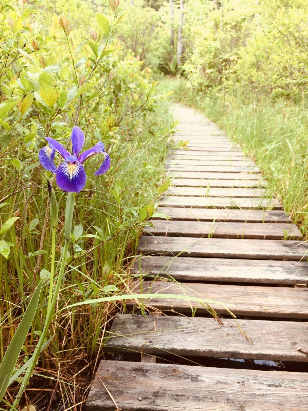 01b7ed9e323741bd7d294051e147b8b540d7f45739