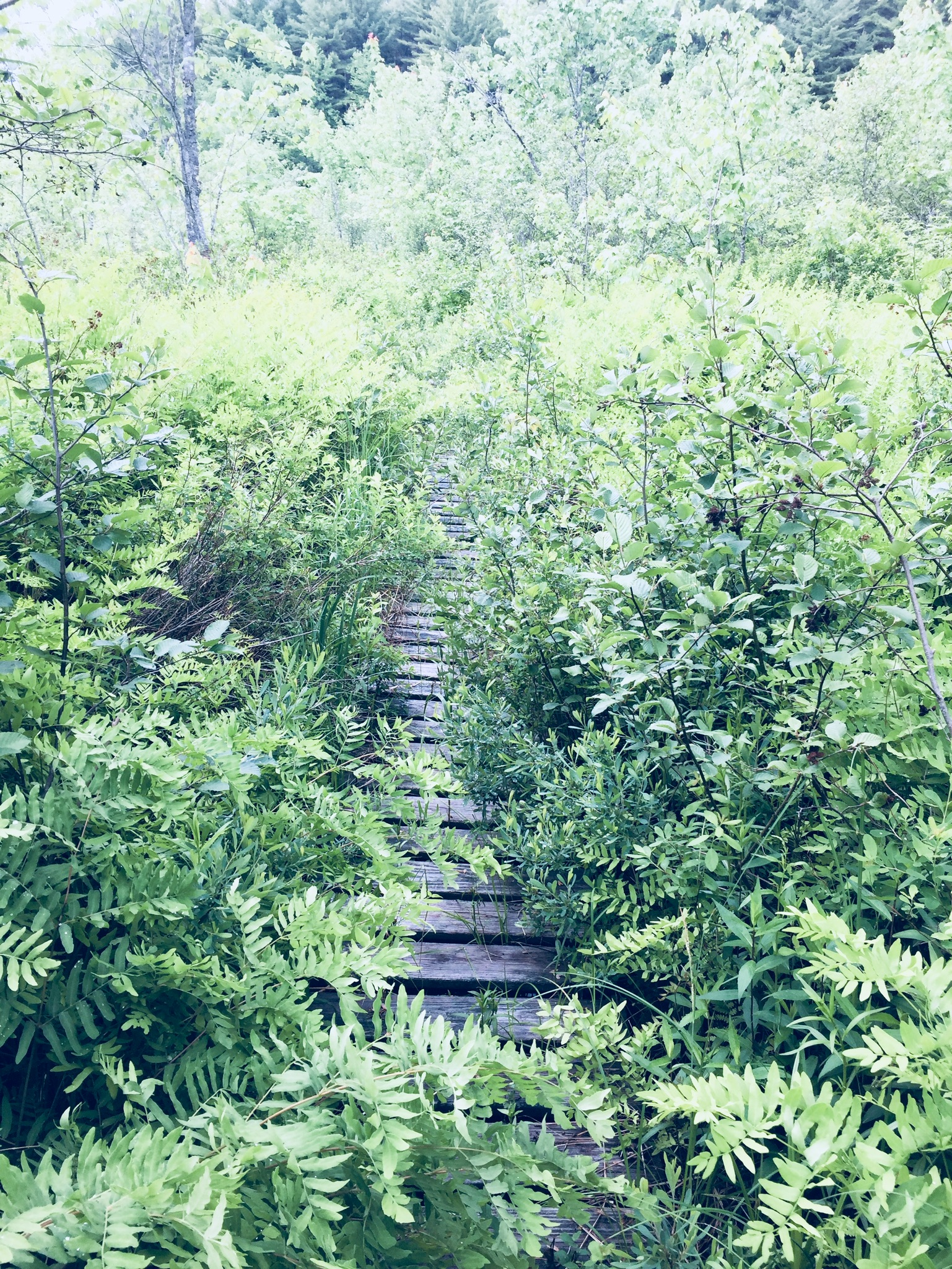 01f4ba935a1c166f97c0b6efb2289310fb60b8ed73