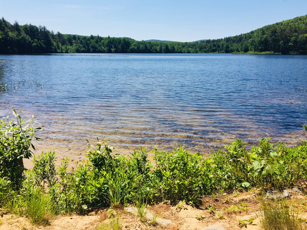 Brownfield Town Beach