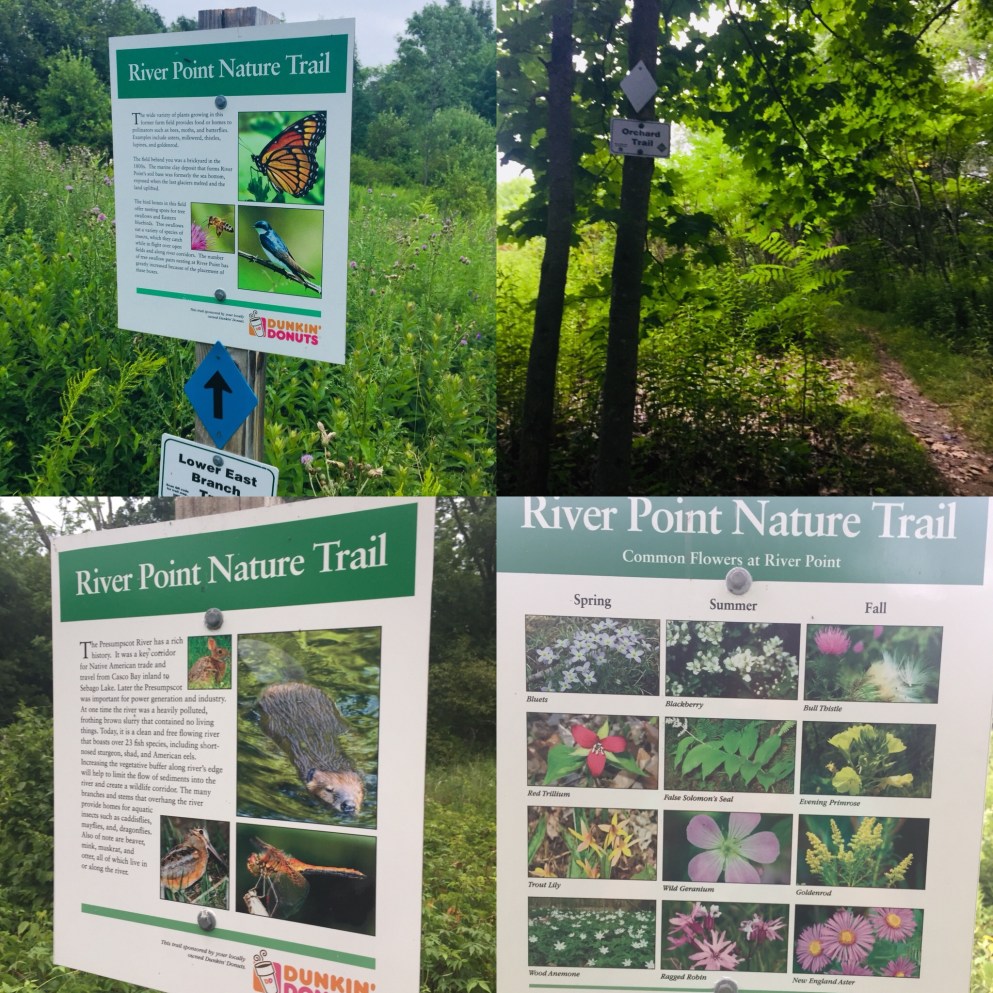 016c4812effe902cc47a2142d4dfa5c8ac7cd3c858