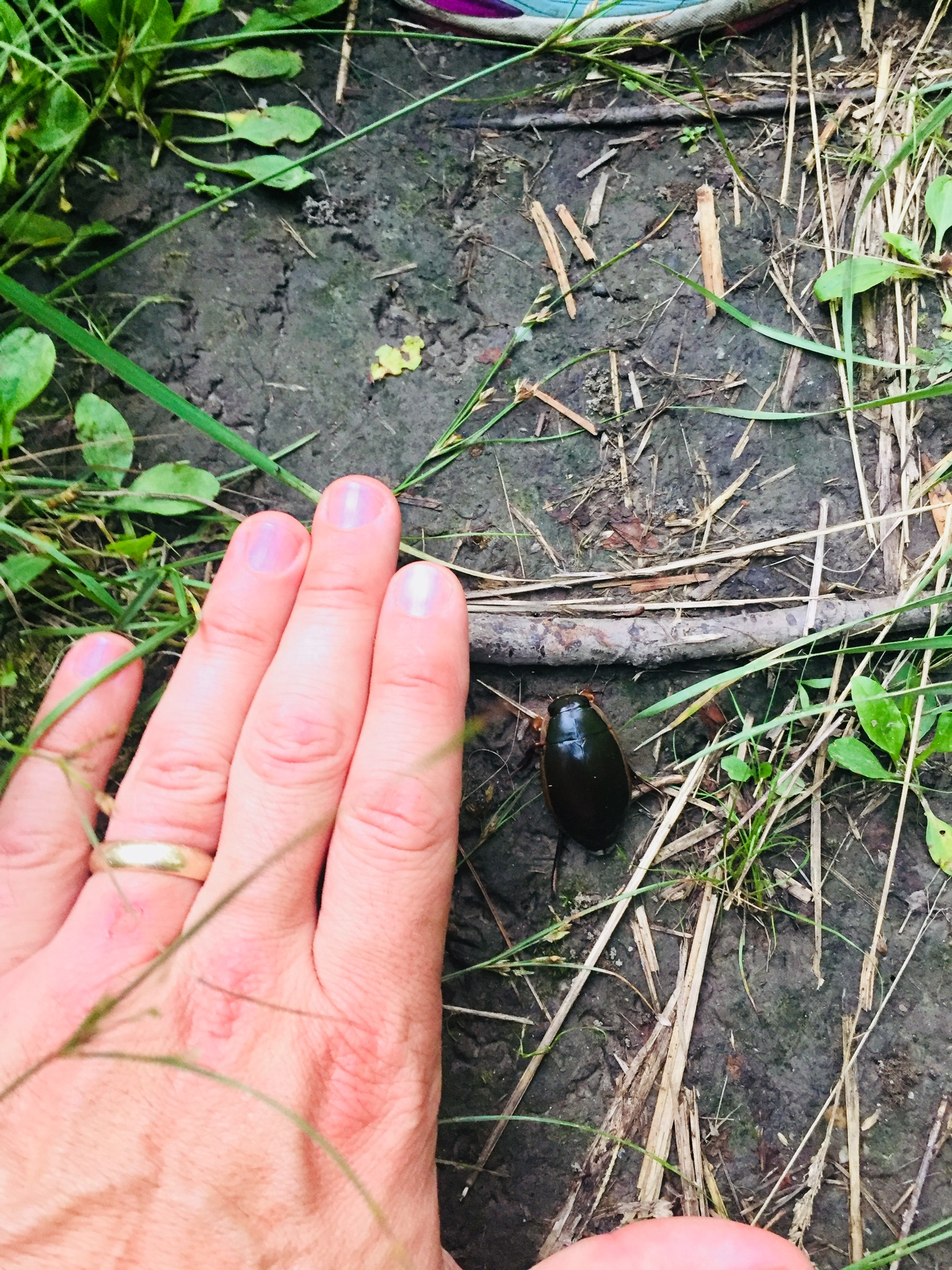 01bfeb475f24533e9d1436248ebf98de1fcdf349ac