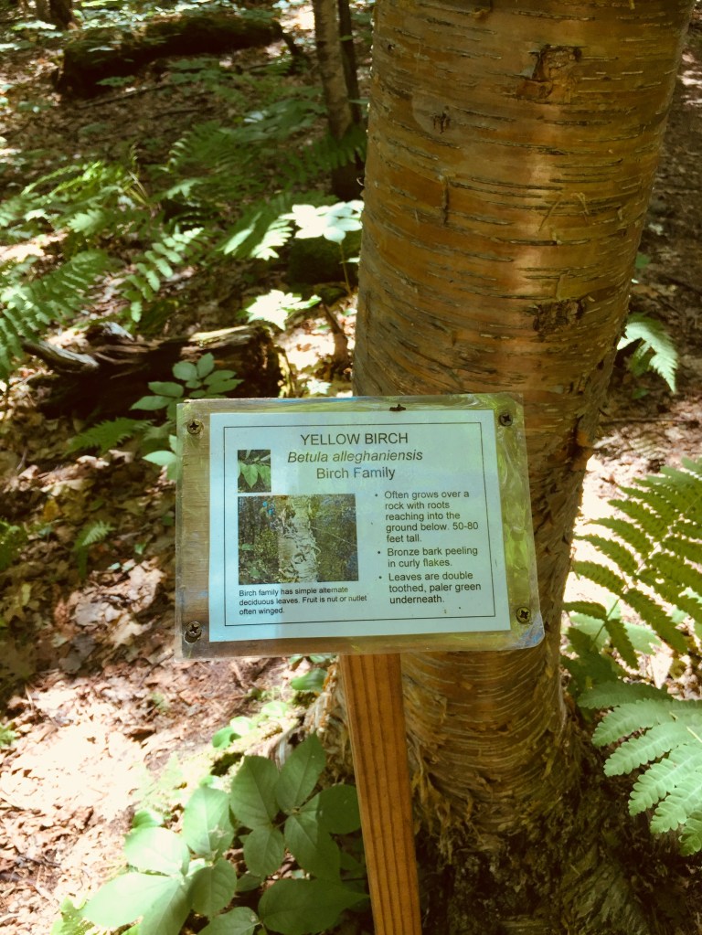 01e531dbffc2d5dd5d609192bf60da5c171a545cc0