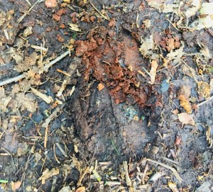 011ec59ab1f320af329b243fe6a20a0152debdc0f3