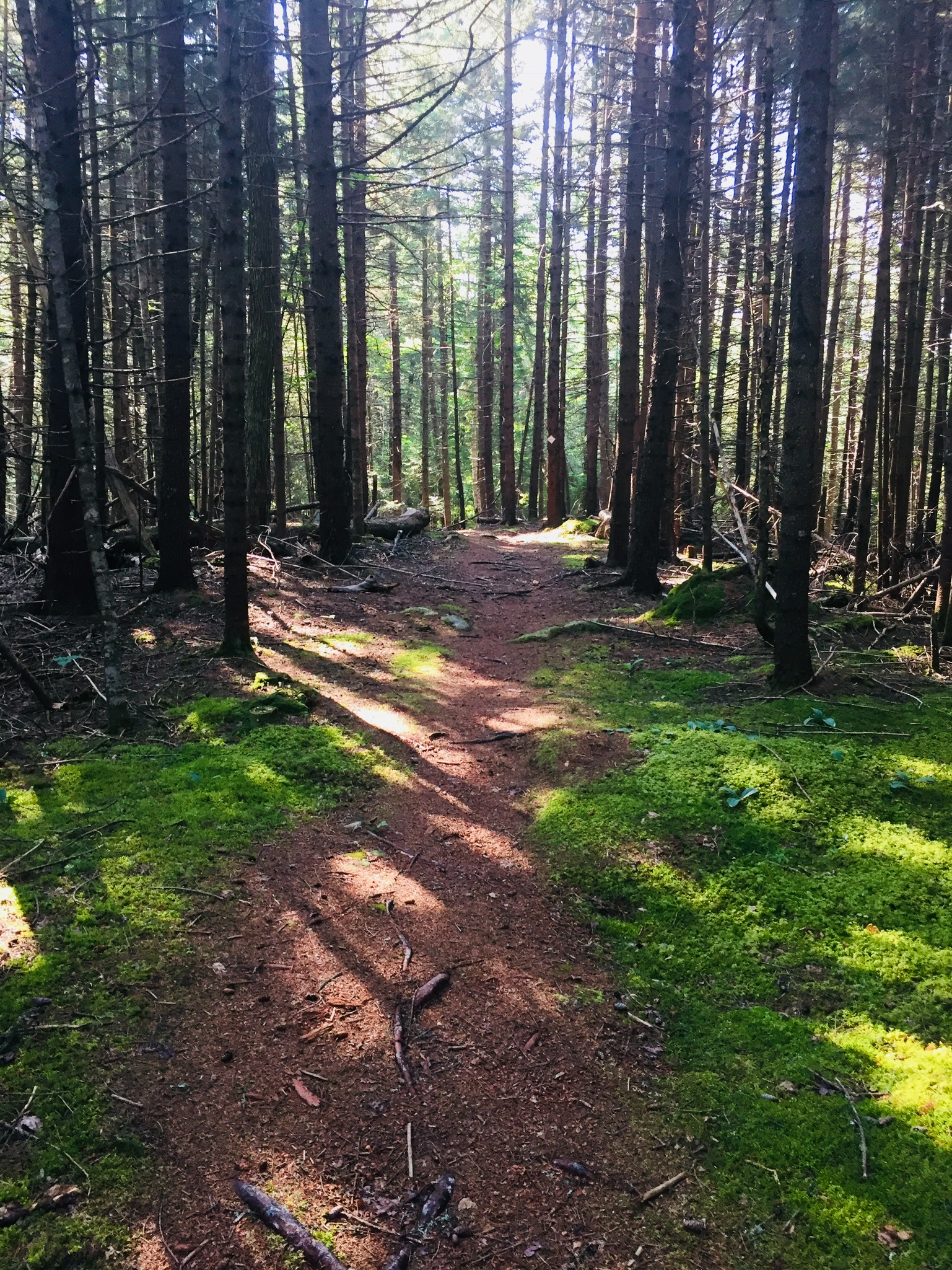 0182cee9c447a5b39e6f57f5b3c8239b0cd3d7df6c