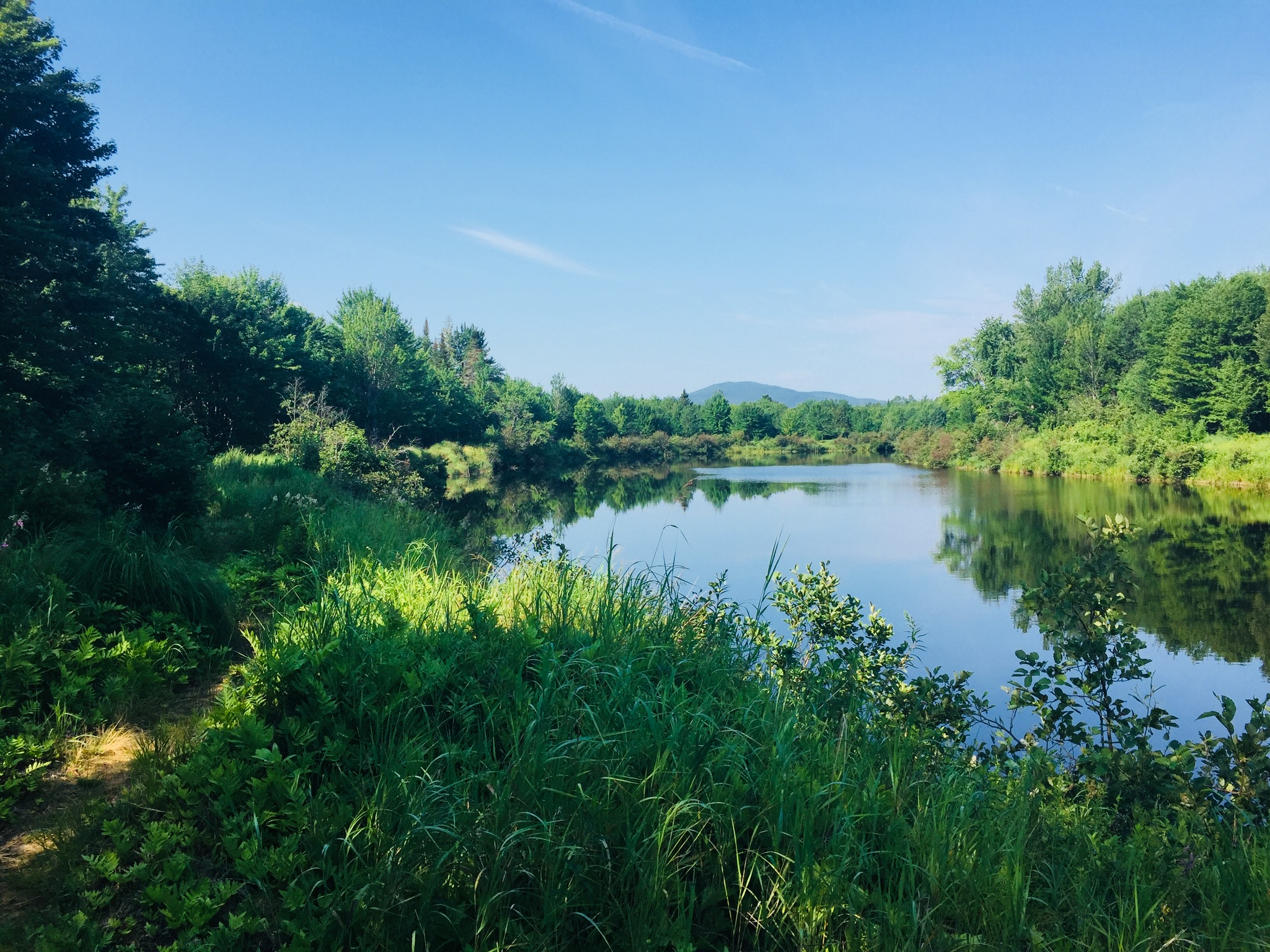 01ca9384e9db537cc4eb09869b16b64e9b6c2d5870