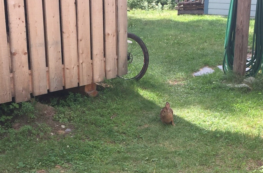 01ed15a4e38d13d82f8f98c6c5308cbdf068e976fa