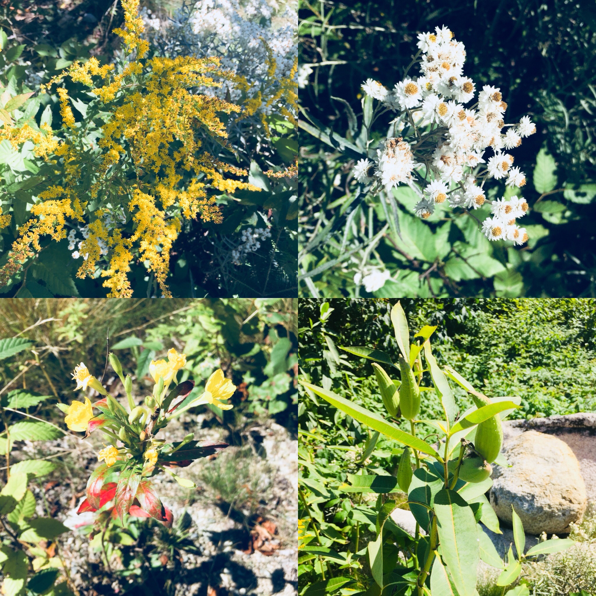 0162945685aea994ce4c9bc0e69edac7f7ef89bdac