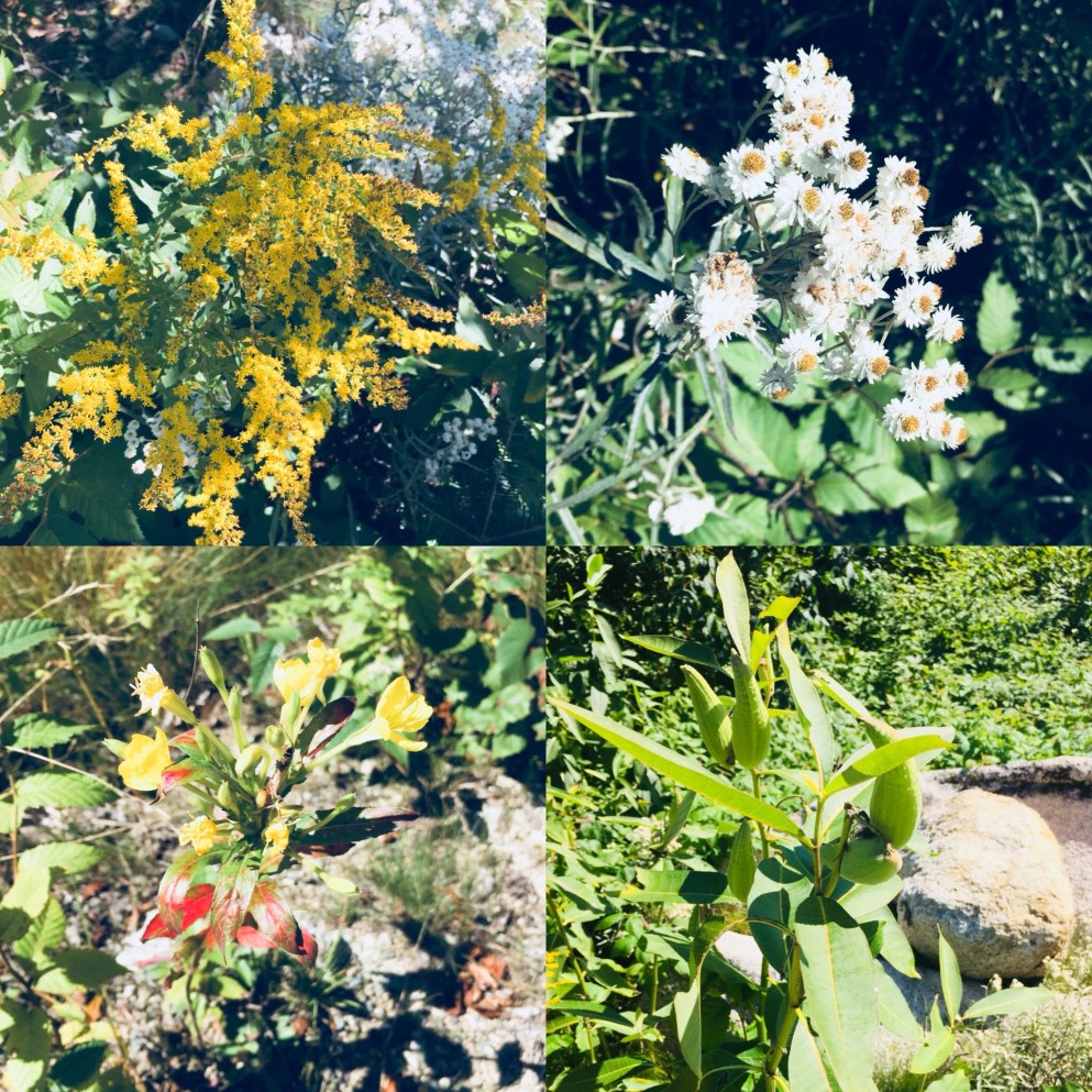 0162945685aea994ce4c9bc0e69edac7f7ef89bdac