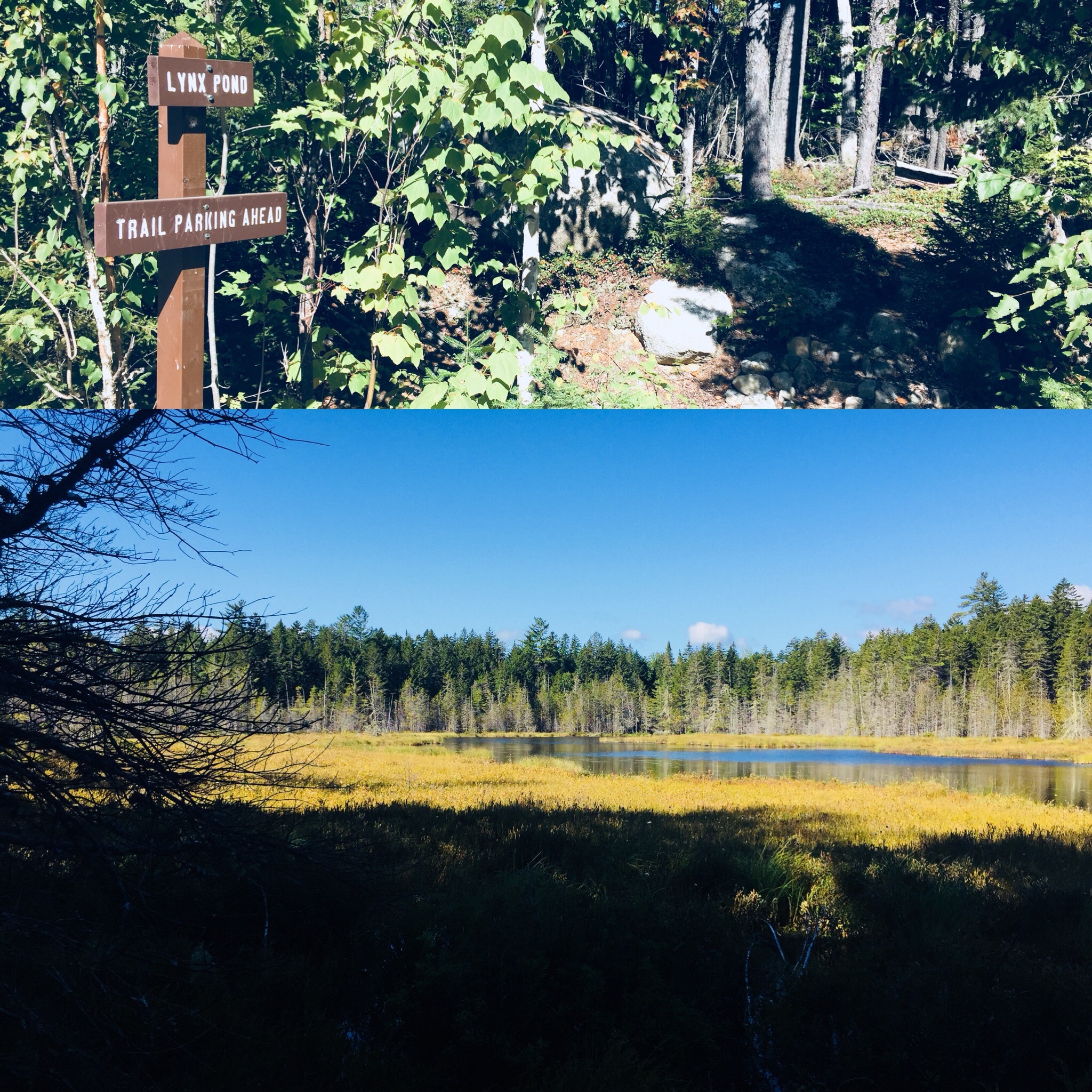 01956851ac4c035ab5352c3bdbf2b168afa977f722