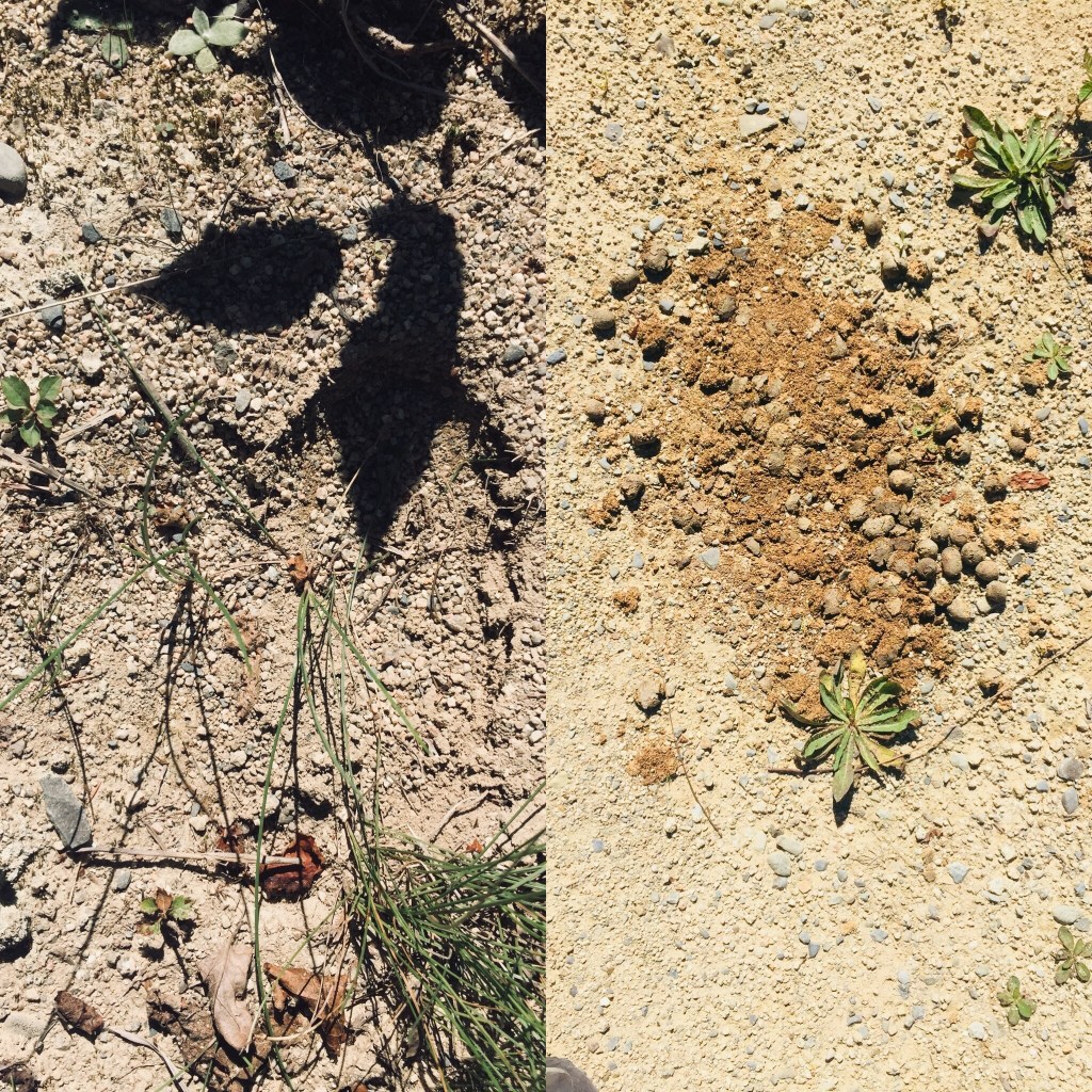 01b5f4816d5a5e0f24f63f8ce23c3ebb07ec640256