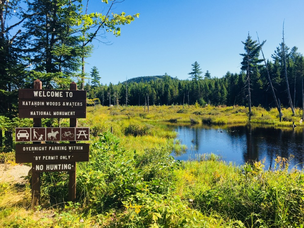 01fb28221881b3f66f6417691e990ce16d393b995f