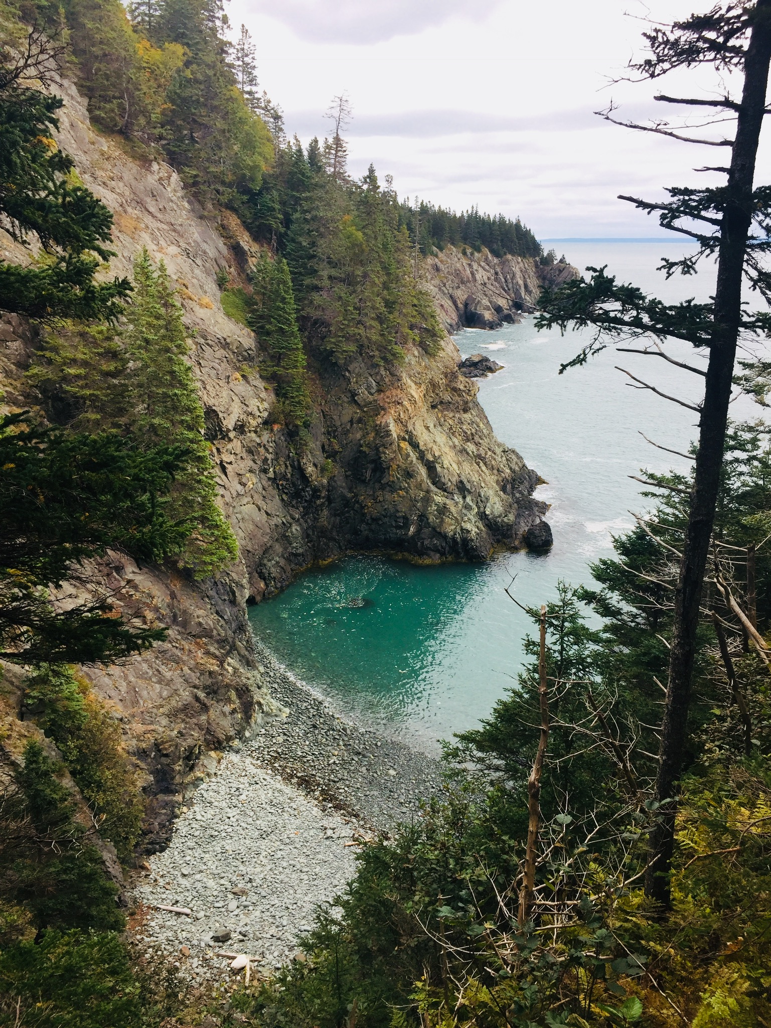 Ocean view from Coastal Trail, Cutler Coast Public Lands