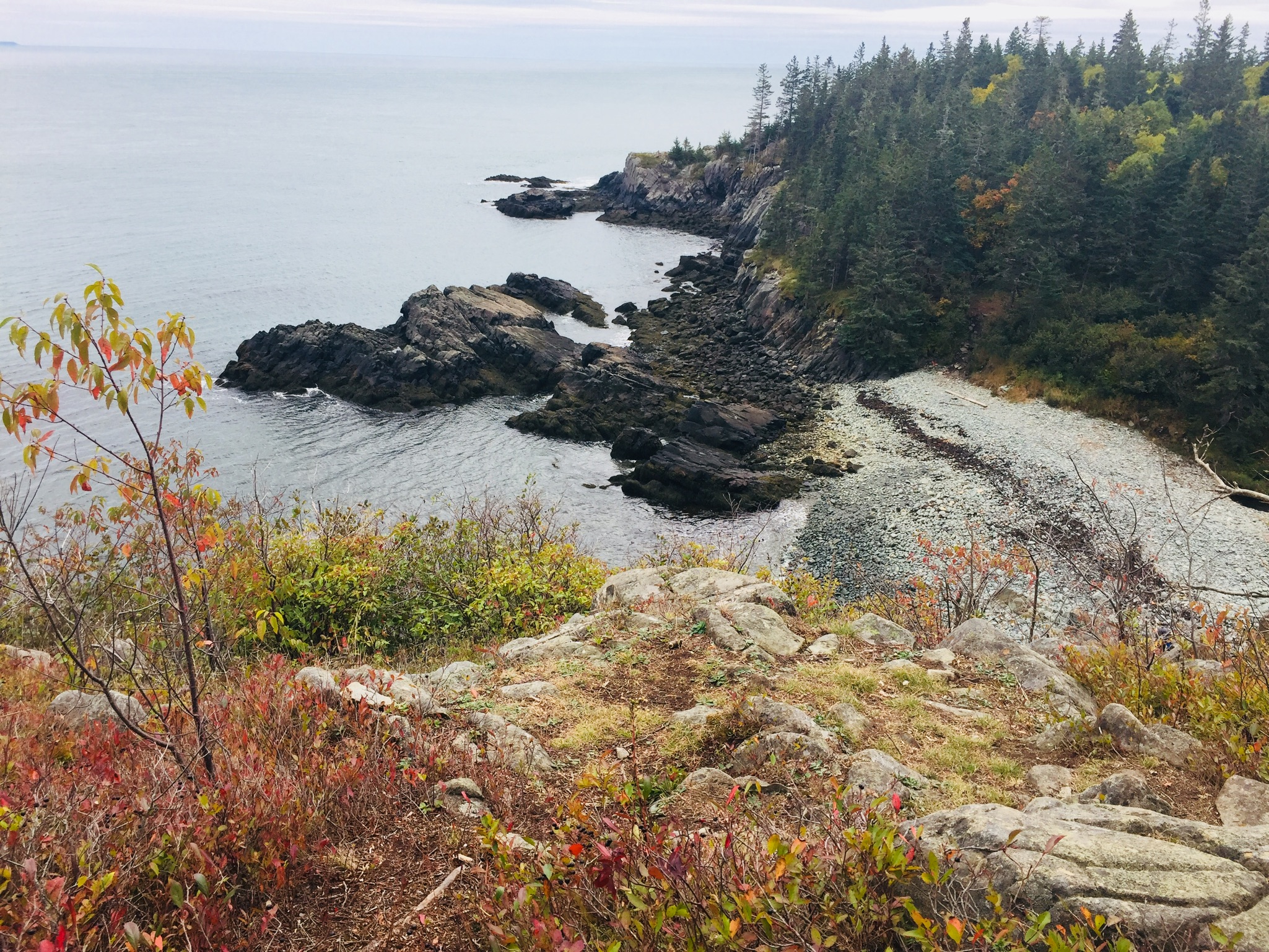 Rocky beach at Black Point, Cutler Coast Public Lands.