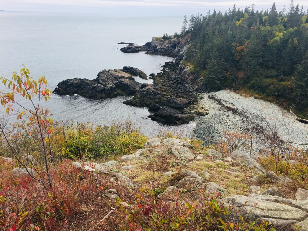 Rocky beach at Black Point, Cutler Coast Public Lands.
