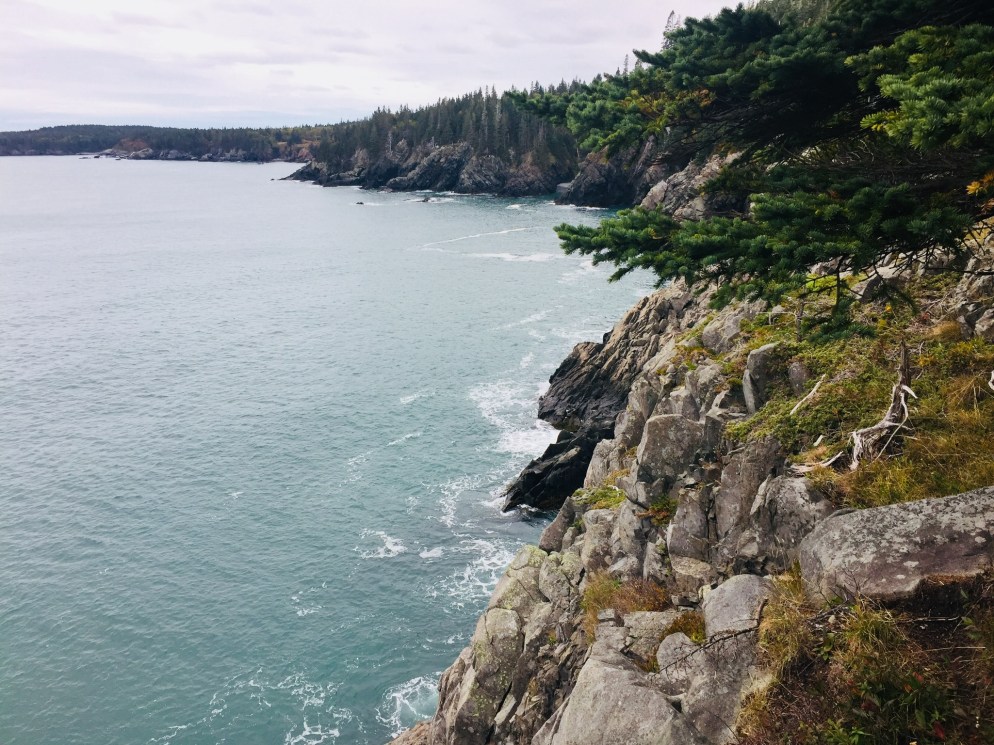 Coastal Trail view to south of Cutler Coast Public Lands