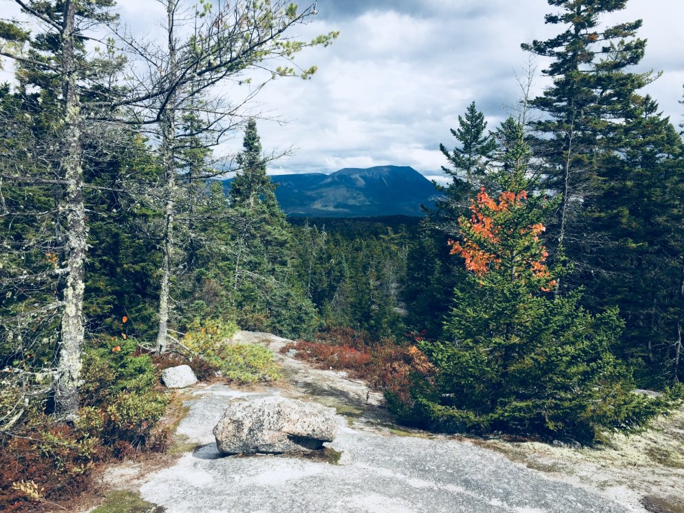 018ec1fb8471e801670bc663ac0f6897c7d3571e64