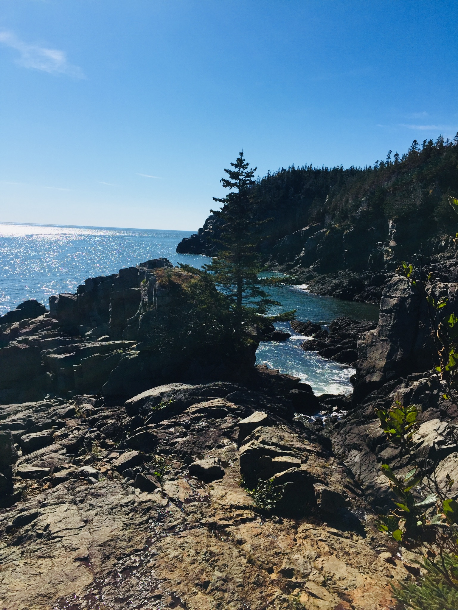 Coastal Trail at Quoddy Head State Park, Lubec, ME